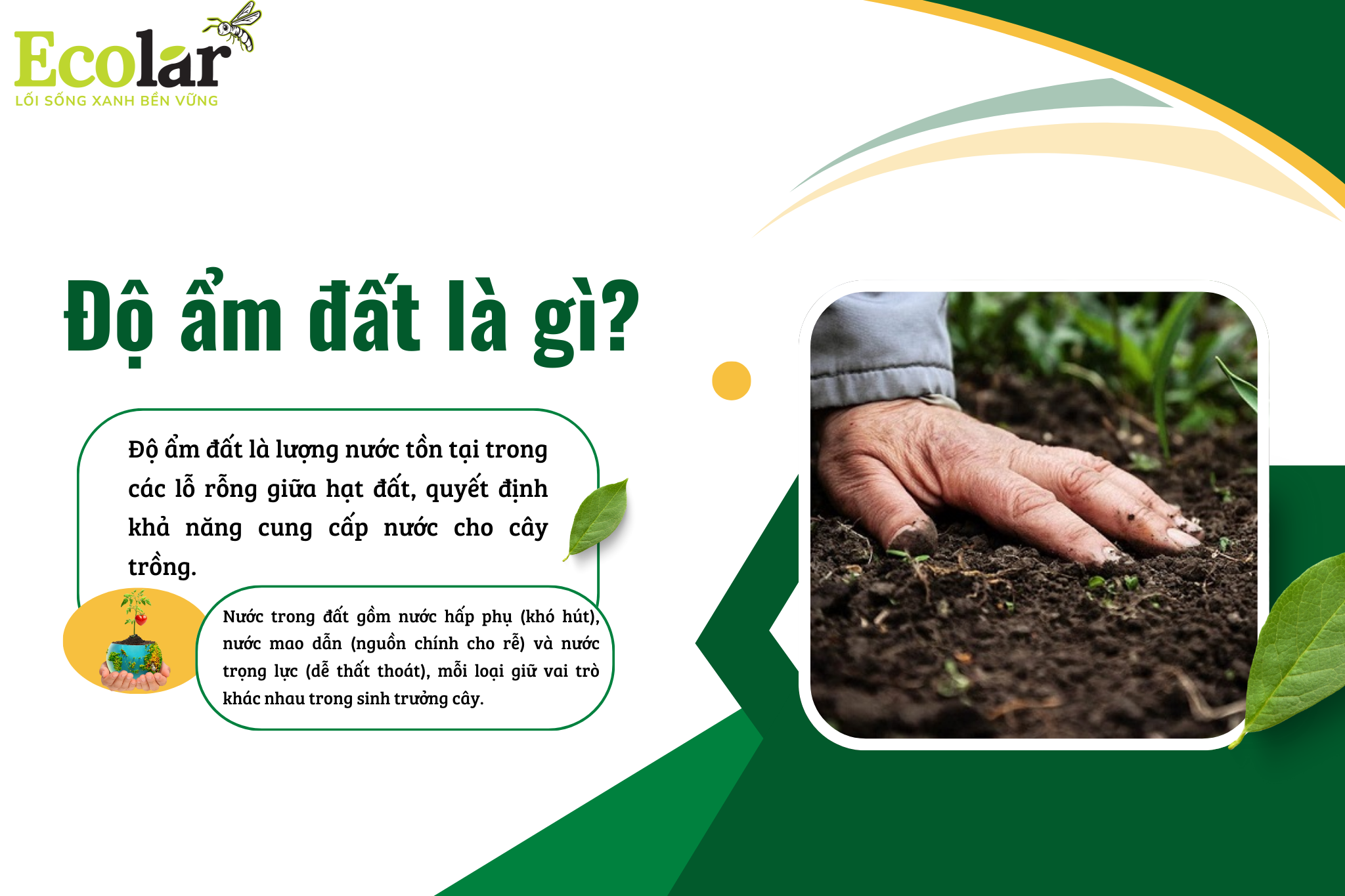 do am dat la gi Bao Bì Ánh Sáng - Chuyên Gia Bao Bì PP Dệt