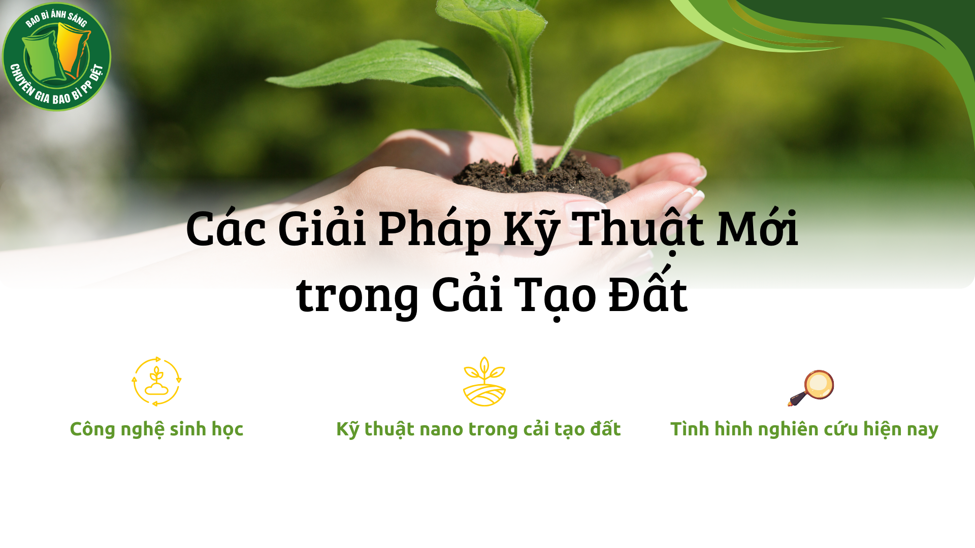 gpbb Bao Bì Ánh Sáng - Chuyên Gia Bao Bì PP Dệt