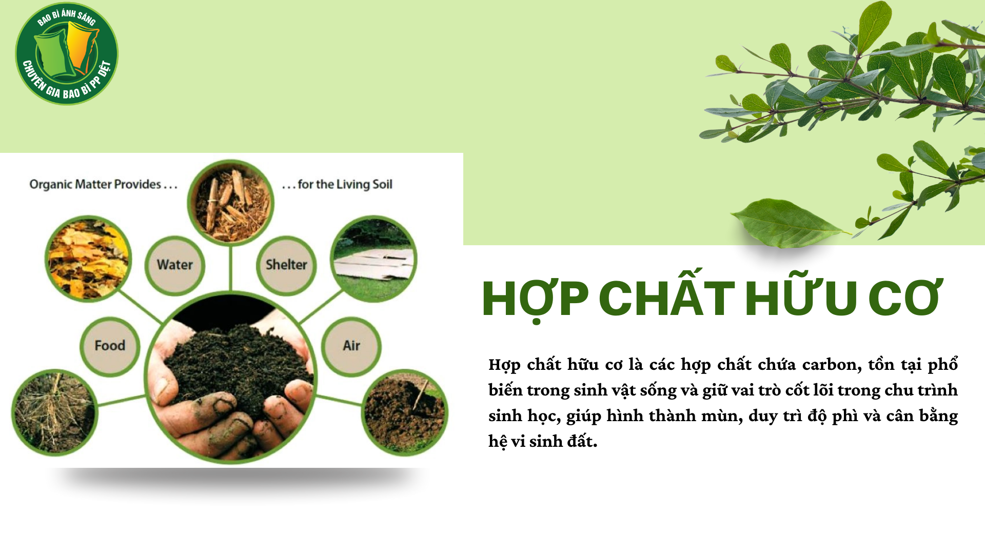 hchc bbas Bao Bì Ánh Sáng - Chuyên Gia Bao Bì PP Dệt