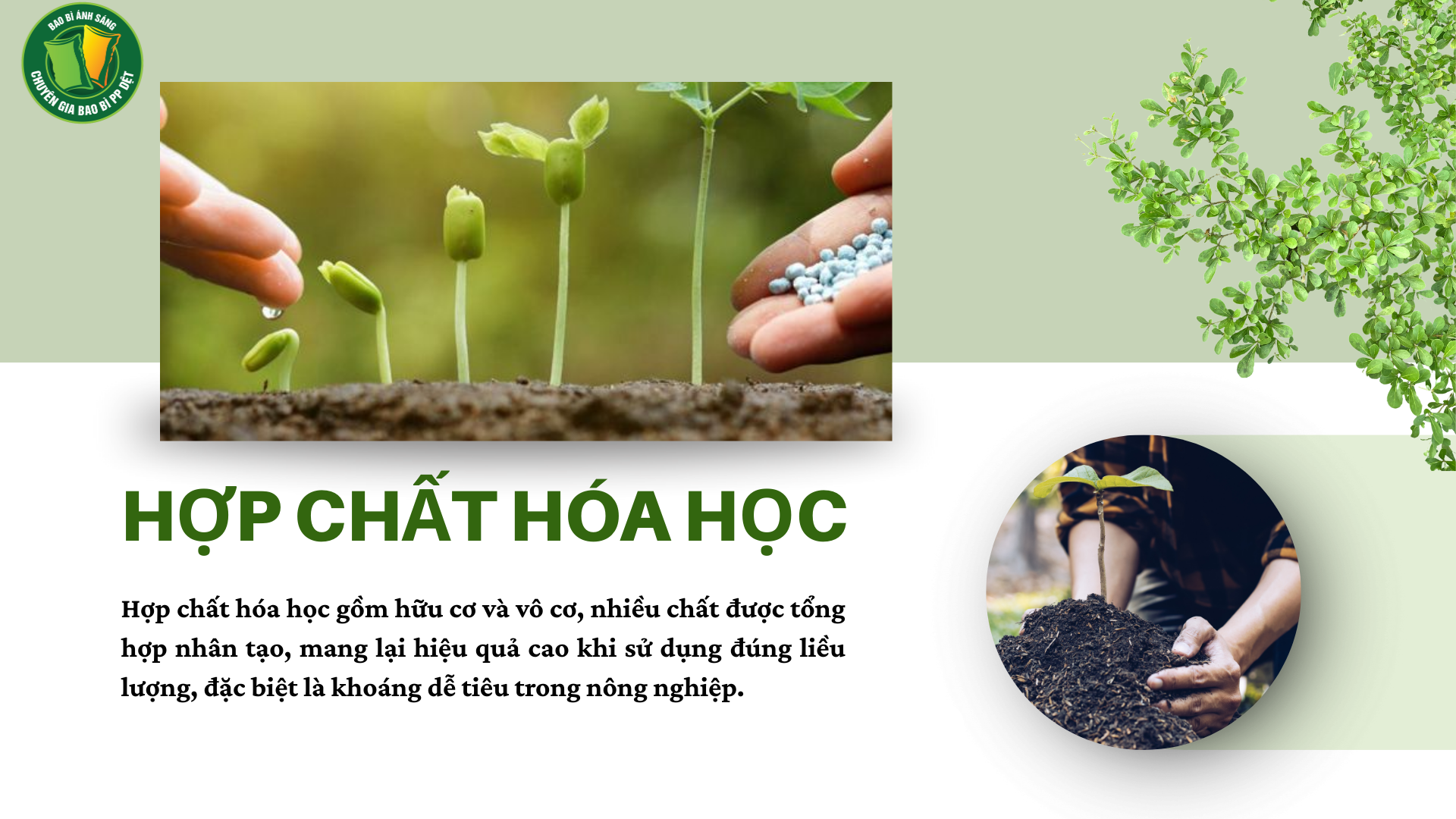 hchh eco 2 Bao Bì Ánh Sáng - Chuyên Gia Bao Bì PP Dệt