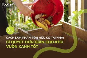 Hướng Dẫn Cách Làm Phân Bón Hữu Cơ Tại Nhà