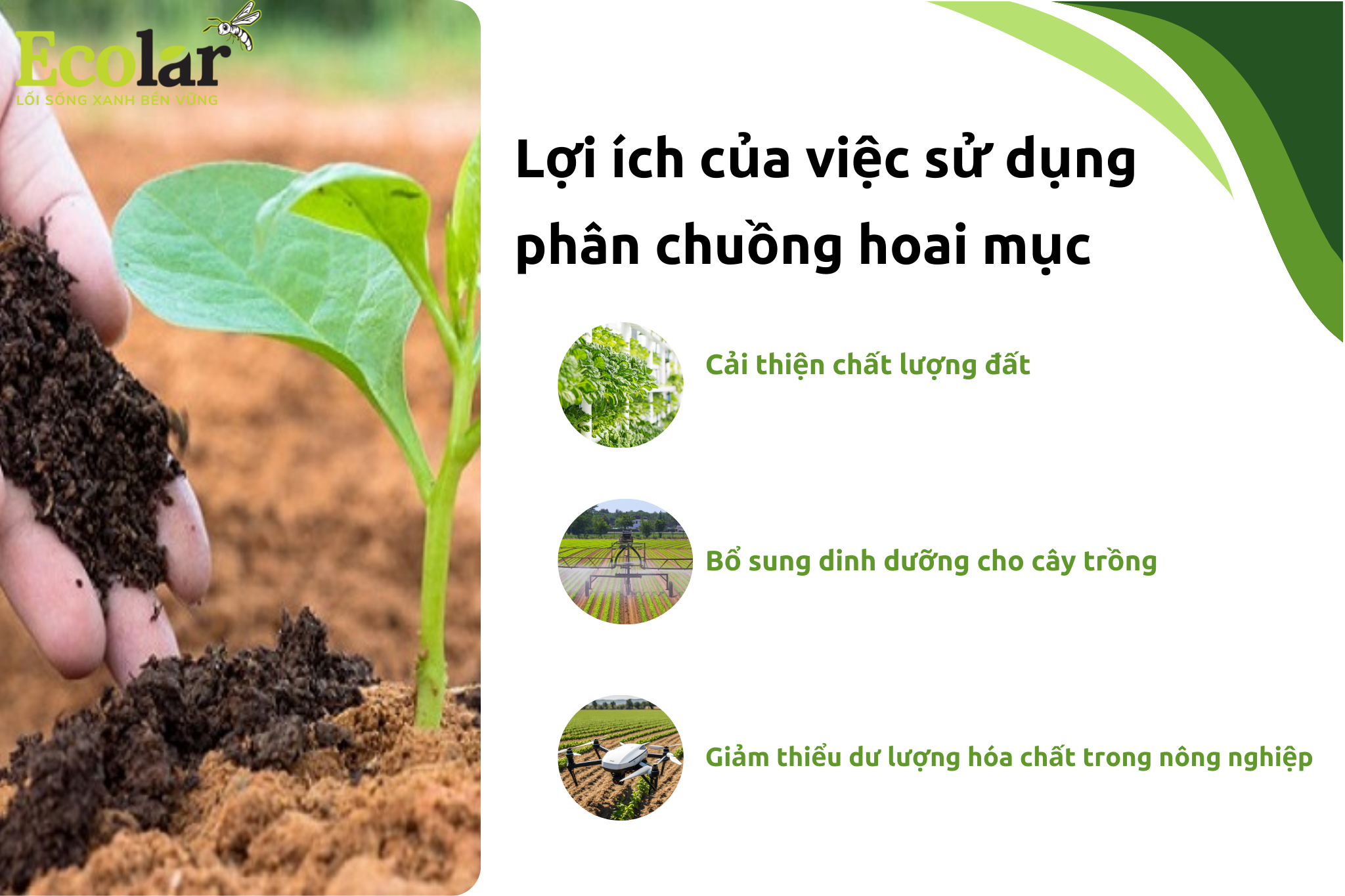 loi ich 1 Bao Bì Ánh Sáng - Chuyên Gia Bao Bì PP Dệt