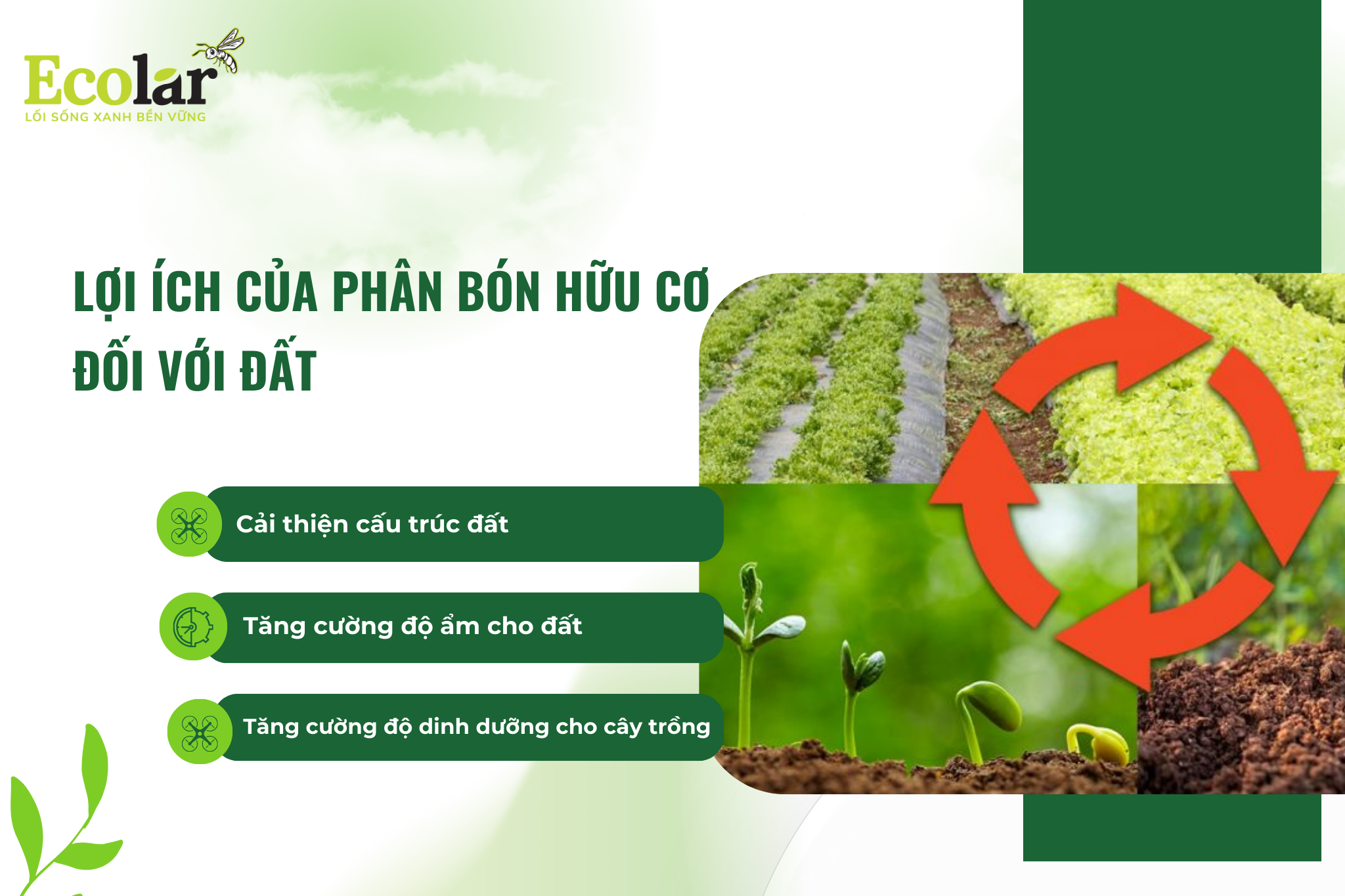 loi ich cua pbhc doi voi dat Bao Bì Ánh Sáng - Chuyên Gia Bao Bì PP Dệt