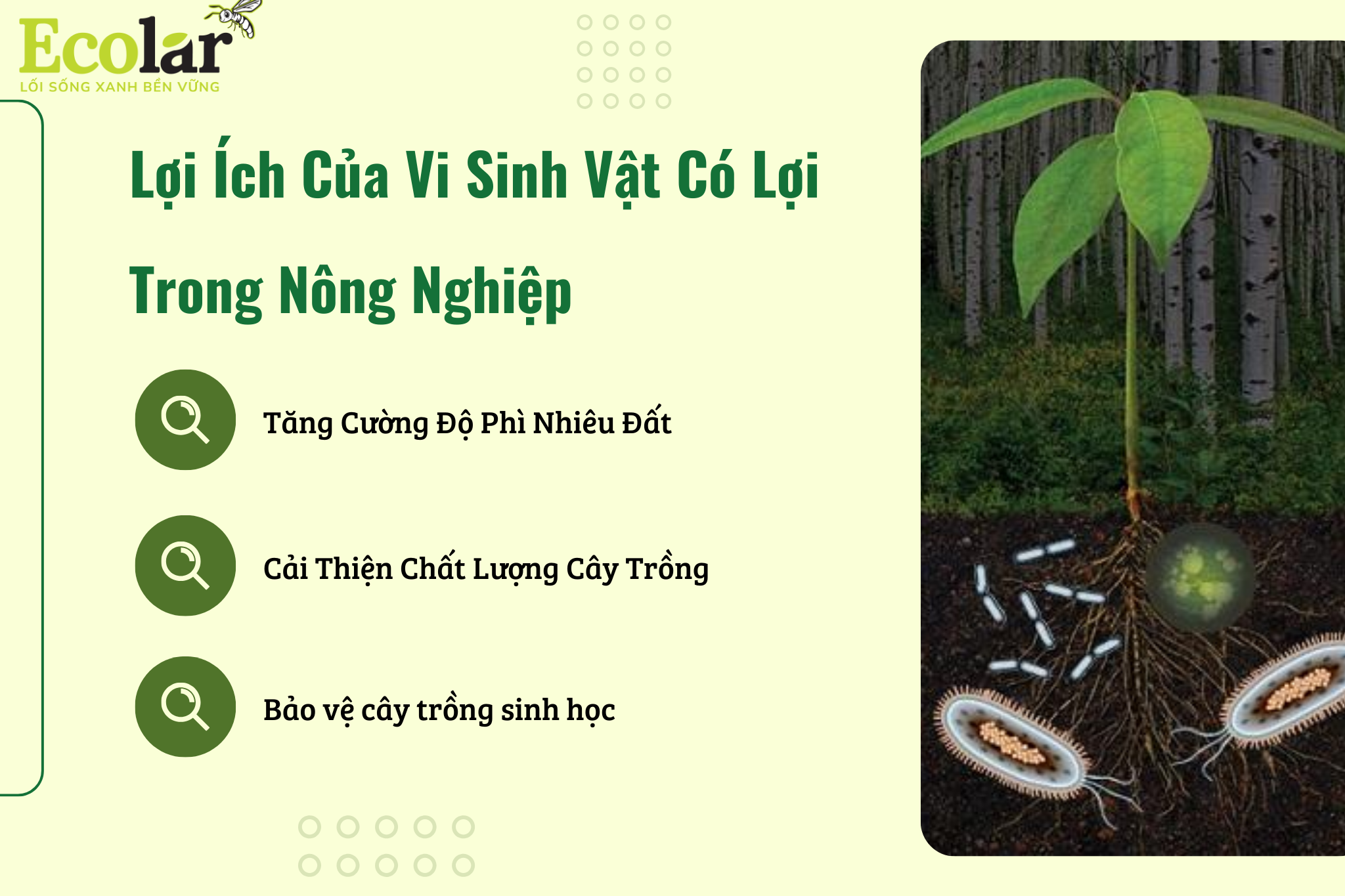 loi ich cua vi sinh vat Bao Bì Ánh Sáng - Chuyên Gia Bao Bì PP Dệt