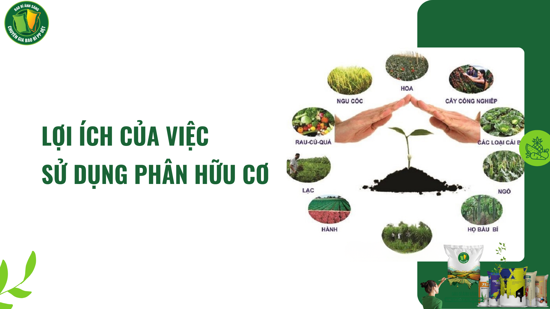 loi ich pbhc bbas Bao Bì Ánh Sáng - Chuyên Gia Bao Bì PP Dệt