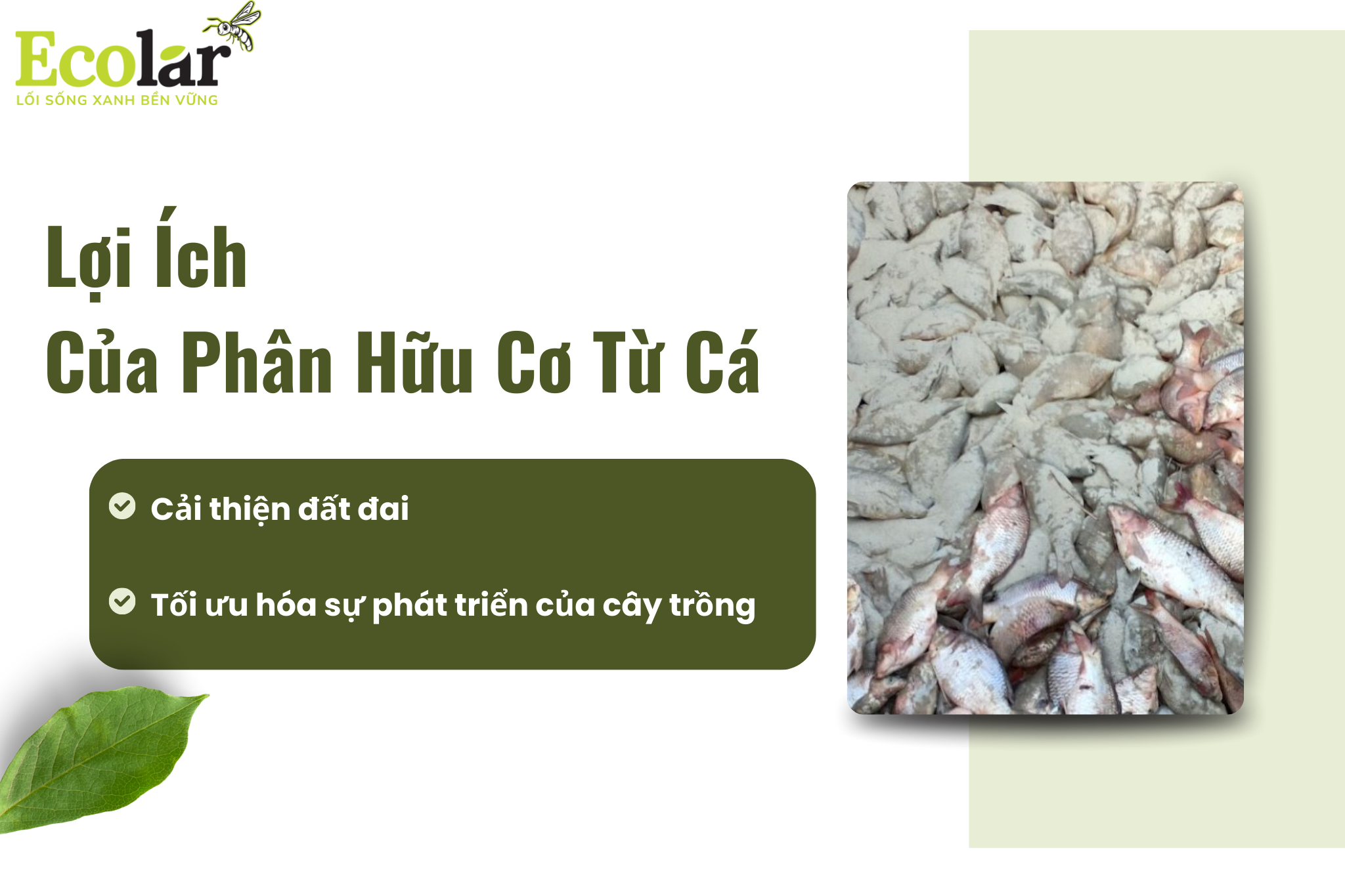 loi ich pbhc Bao Bì Ánh Sáng - Chuyên Gia Bao Bì PP Dệt