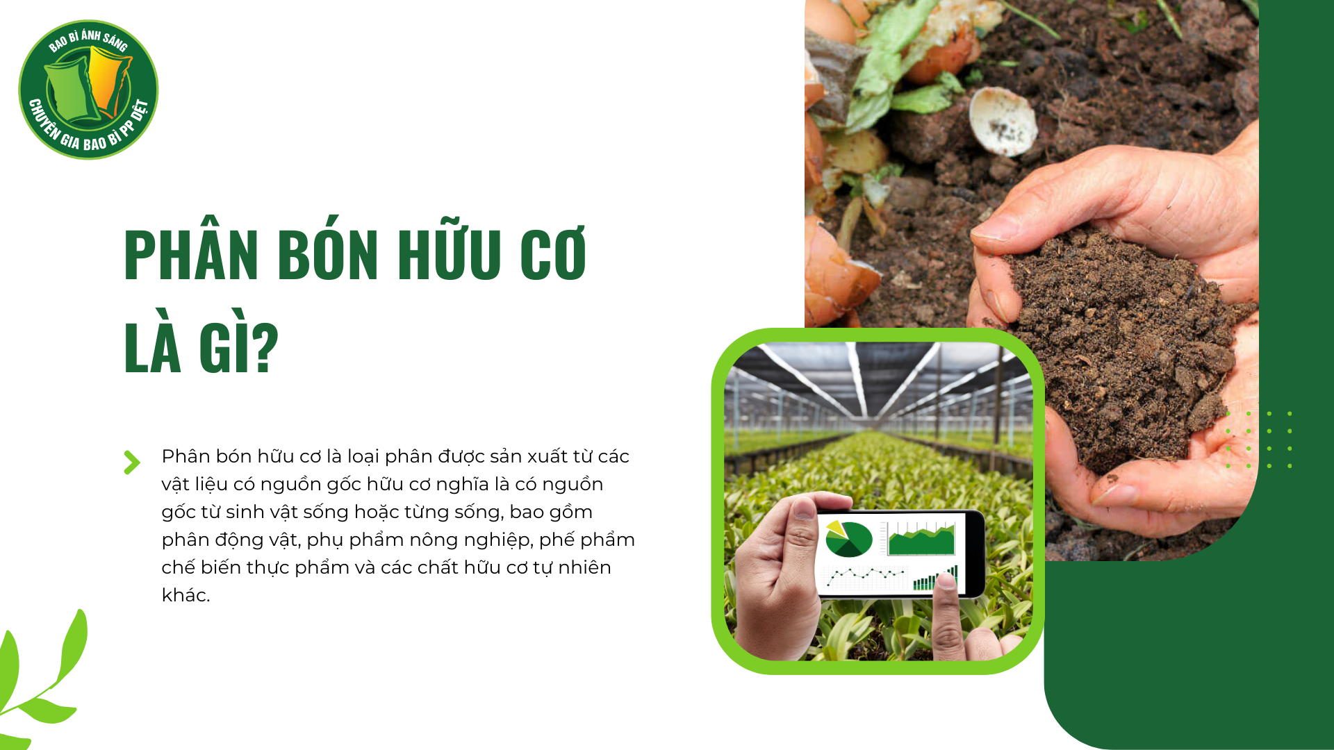 loi ich Bao Bì Ánh Sáng - Chuyên Gia Bao Bì PP Dệt