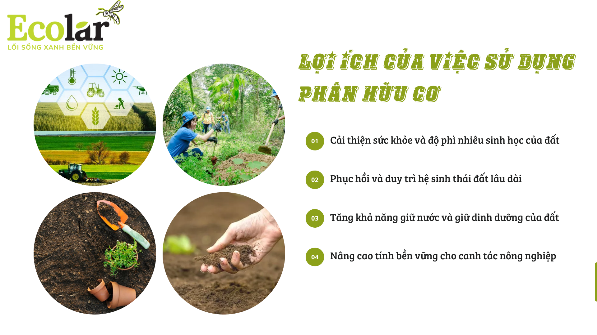 loi ich Bao Bì Ánh Sáng - Chuyên Gia Bao Bì PP Dệt
