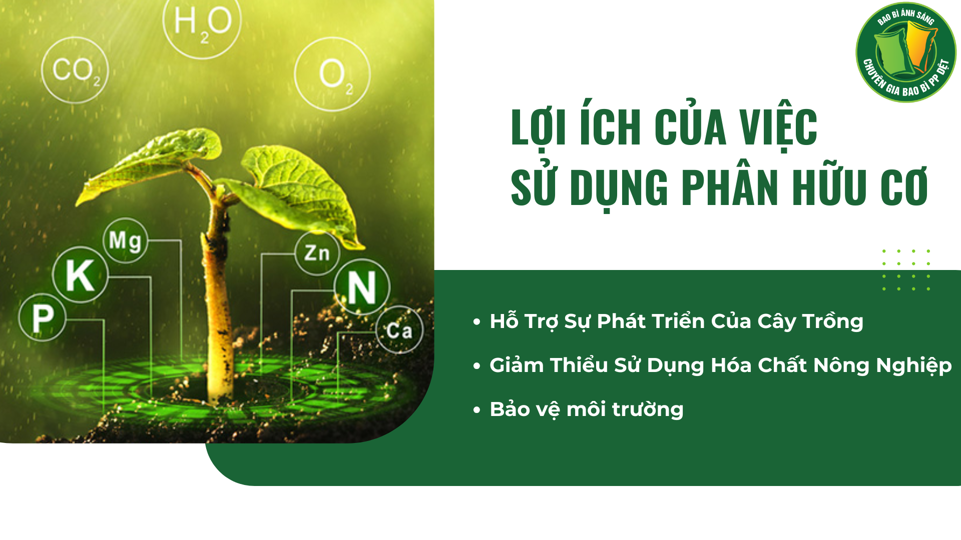 loiich 2 Bao Bì Ánh Sáng - Chuyên Gia Bao Bì PP Dệt