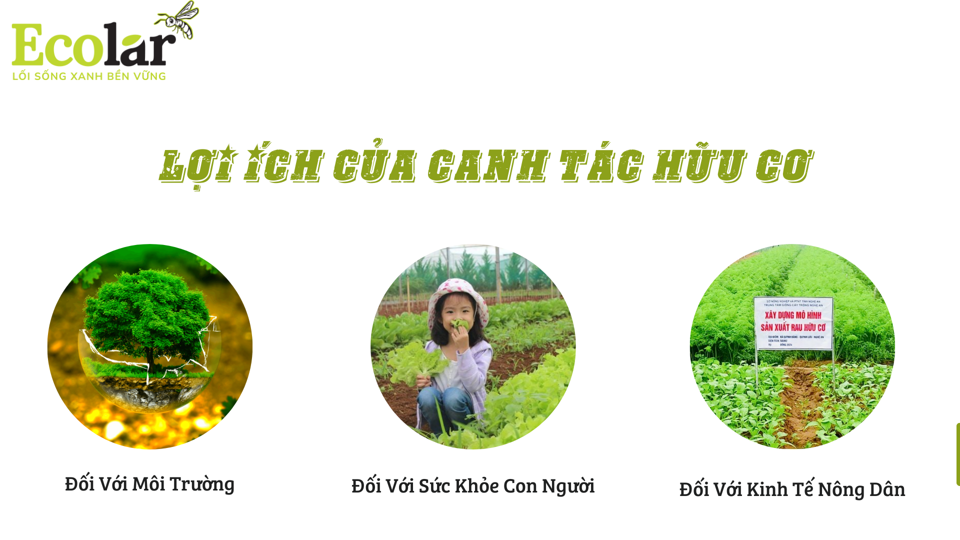 loiich canhtac Bao Bì Ánh Sáng - Chuyên Gia Bao Bì PP Dệt