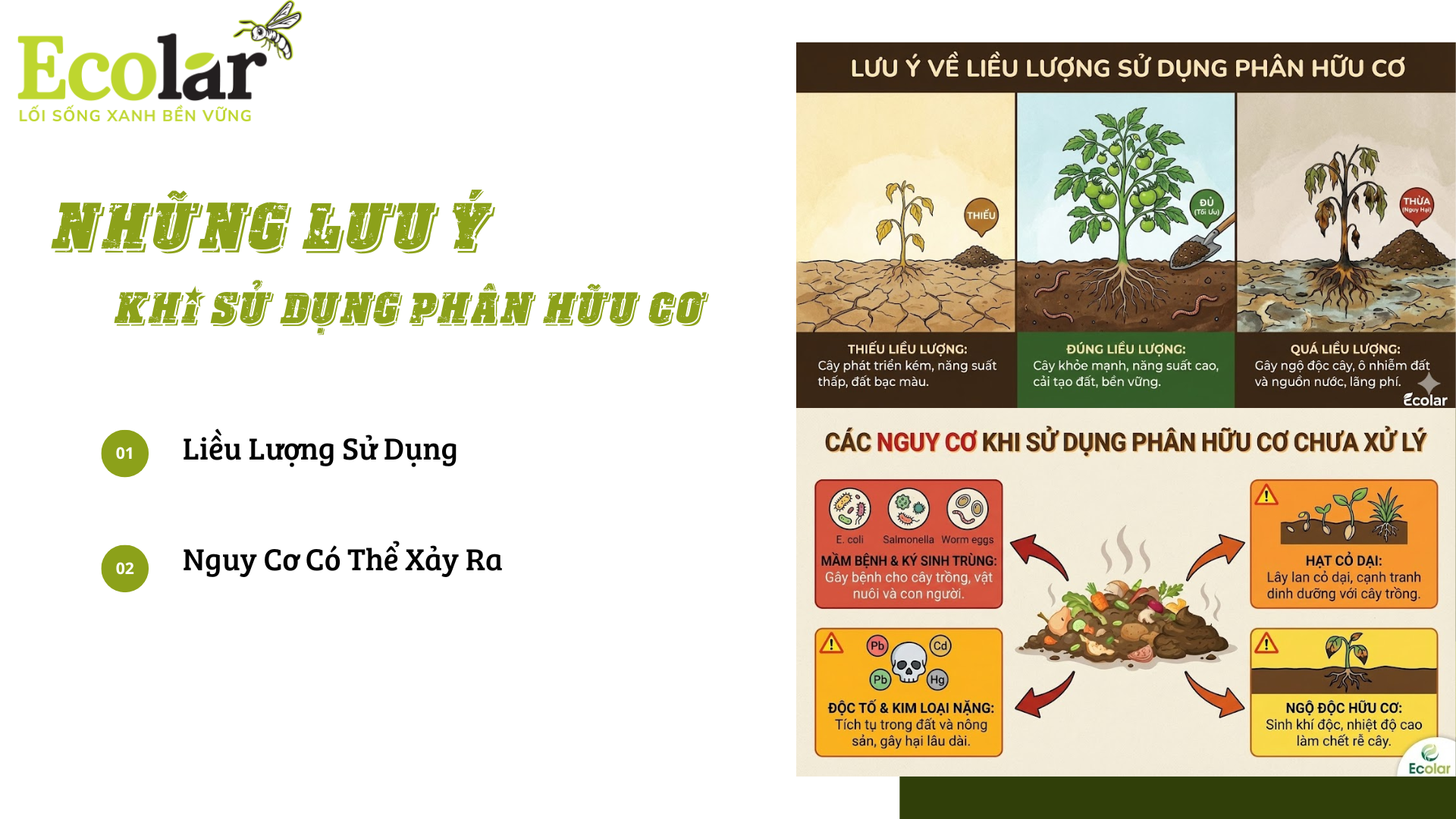 luu y Bao Bì Ánh Sáng - Chuyên Gia Bao Bì PP Dệt