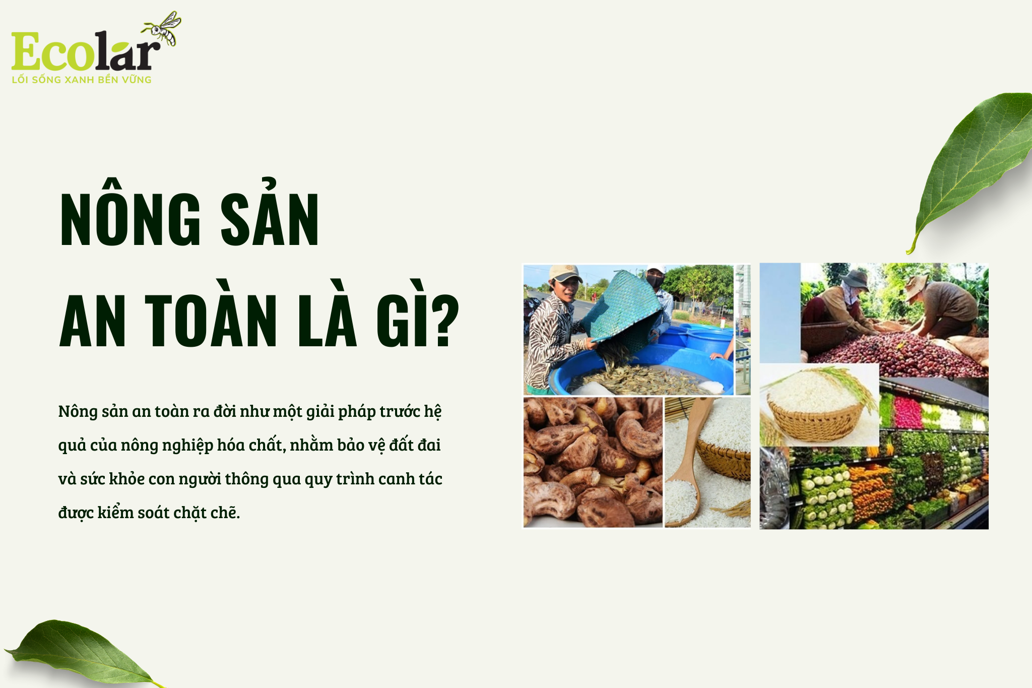 nong san an toan la gi Bao Bì Ánh Sáng - Chuyên Gia Bao Bì PP Dệt