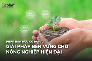 phan bon huu co humic Bao Bì Ánh Sáng - Chuyên Gia Bao Bì PP Dệt
