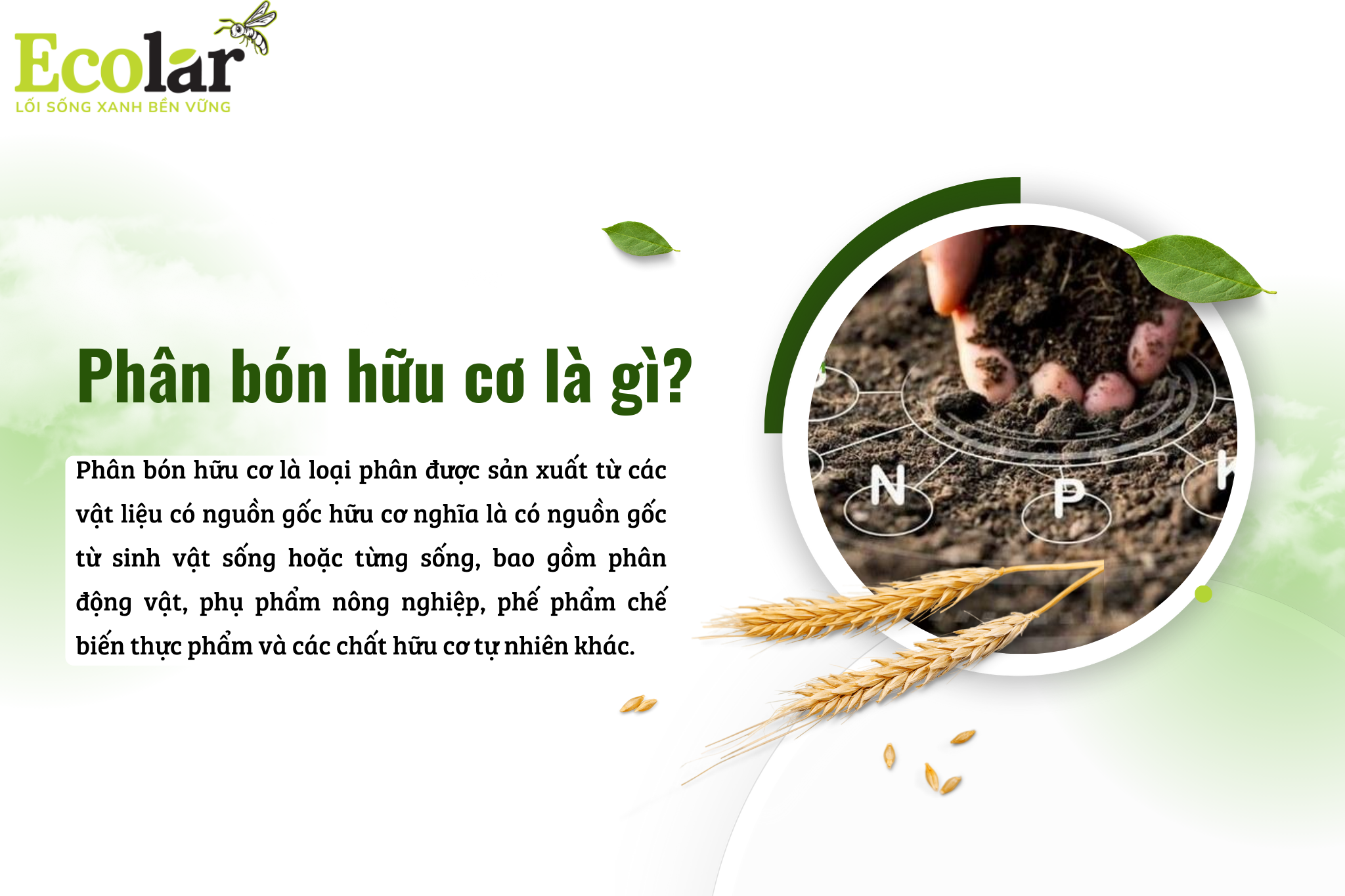 phan bon huu co la gi 1 Bao Bì Ánh Sáng - Chuyên Gia Bao Bì PP Dệt