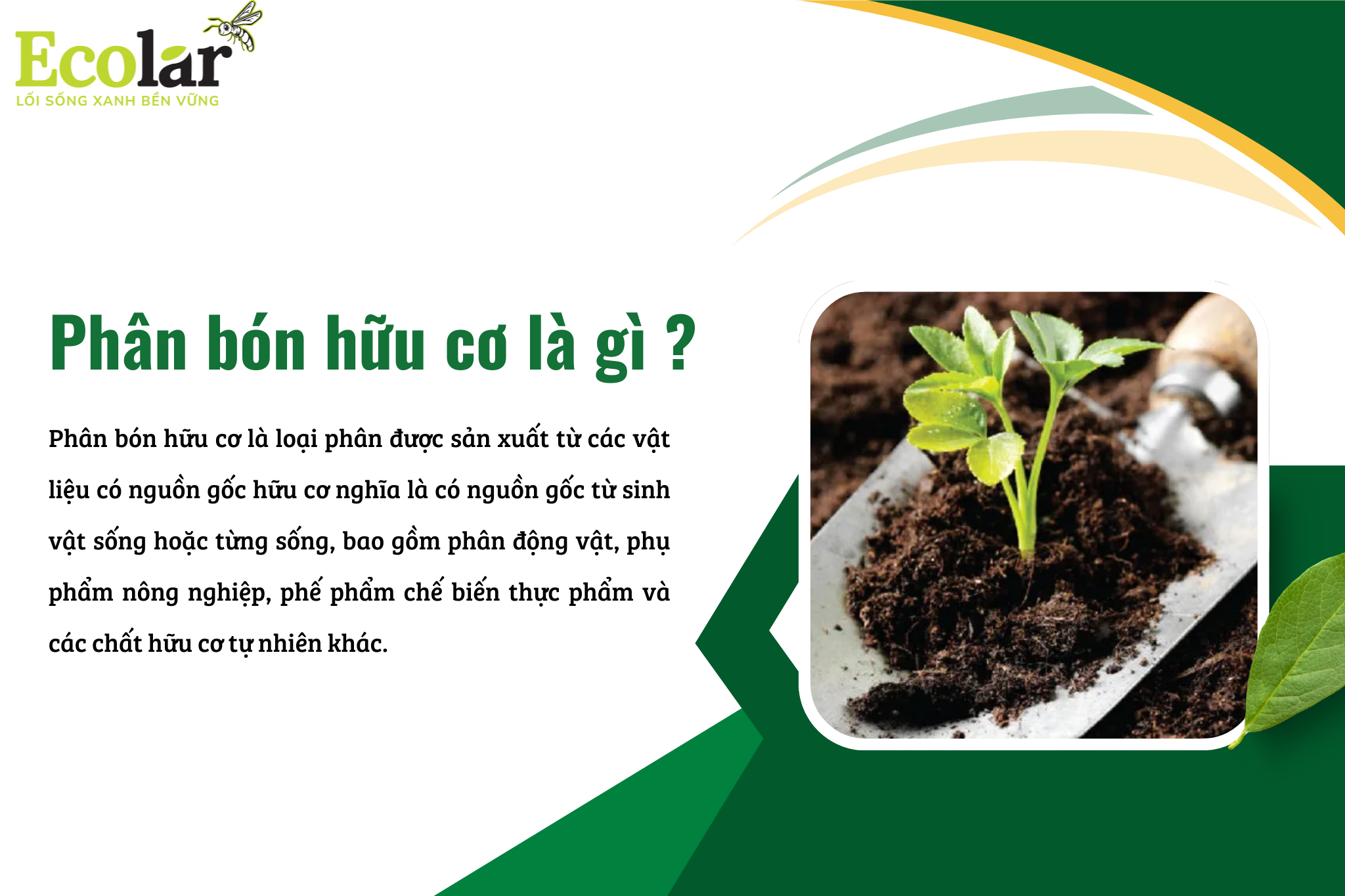 phan bon huu co la gi 3 Bao Bì Ánh Sáng - Chuyên Gia Bao Bì PP Dệt