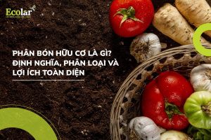 phan bon huu co la gi Bao Bì Ánh Sáng - Chuyên Gia Bao Bì PP Dệt