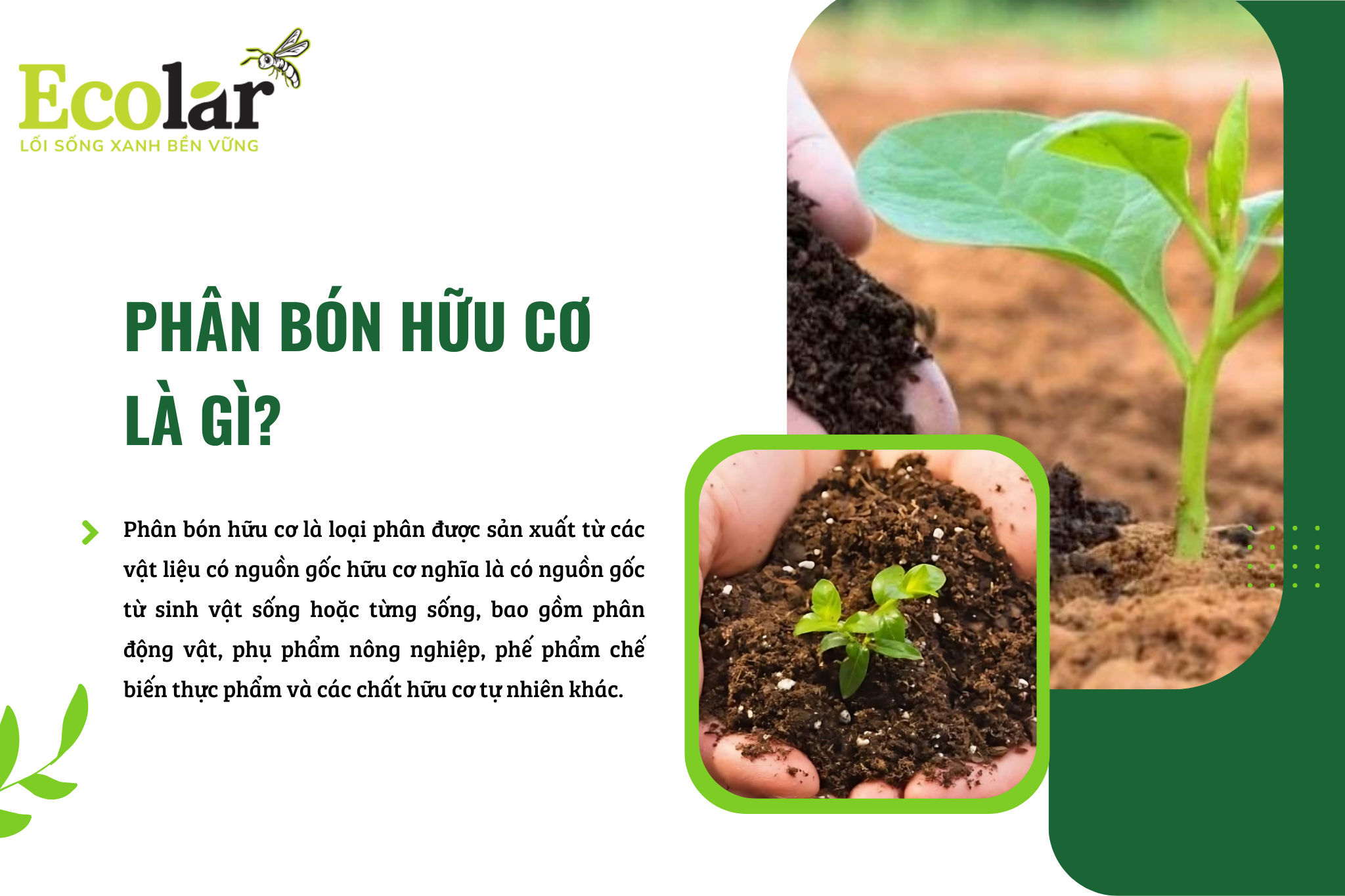 phan bon huu co la gi Bao Bì Ánh Sáng - Chuyên Gia Bao Bì PP Dệt