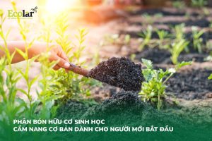 Phân Bón Hữu Cơ Sinh Học