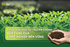 Phân Bón Hữu Cơ Truyền Thống: Nền Tảng Cho Nông Nghiệp Bền Vững Phân Bón Hữu Cơ Truyền Thống