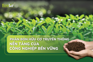 Phân Bón Hữu Cơ Truyền Thống