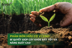 Phân Bón Hữu Cơ Vi Sinh