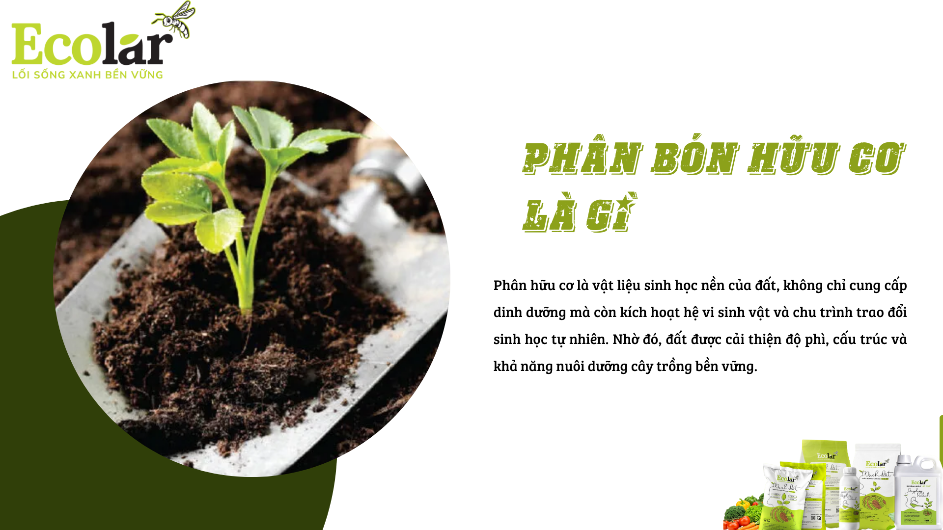 phan huu co la gi 1 Bao Bì Ánh Sáng - Chuyên Gia Bao Bì PP Dệt