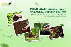 Phân Loại Phân Bón Hữu Cơ