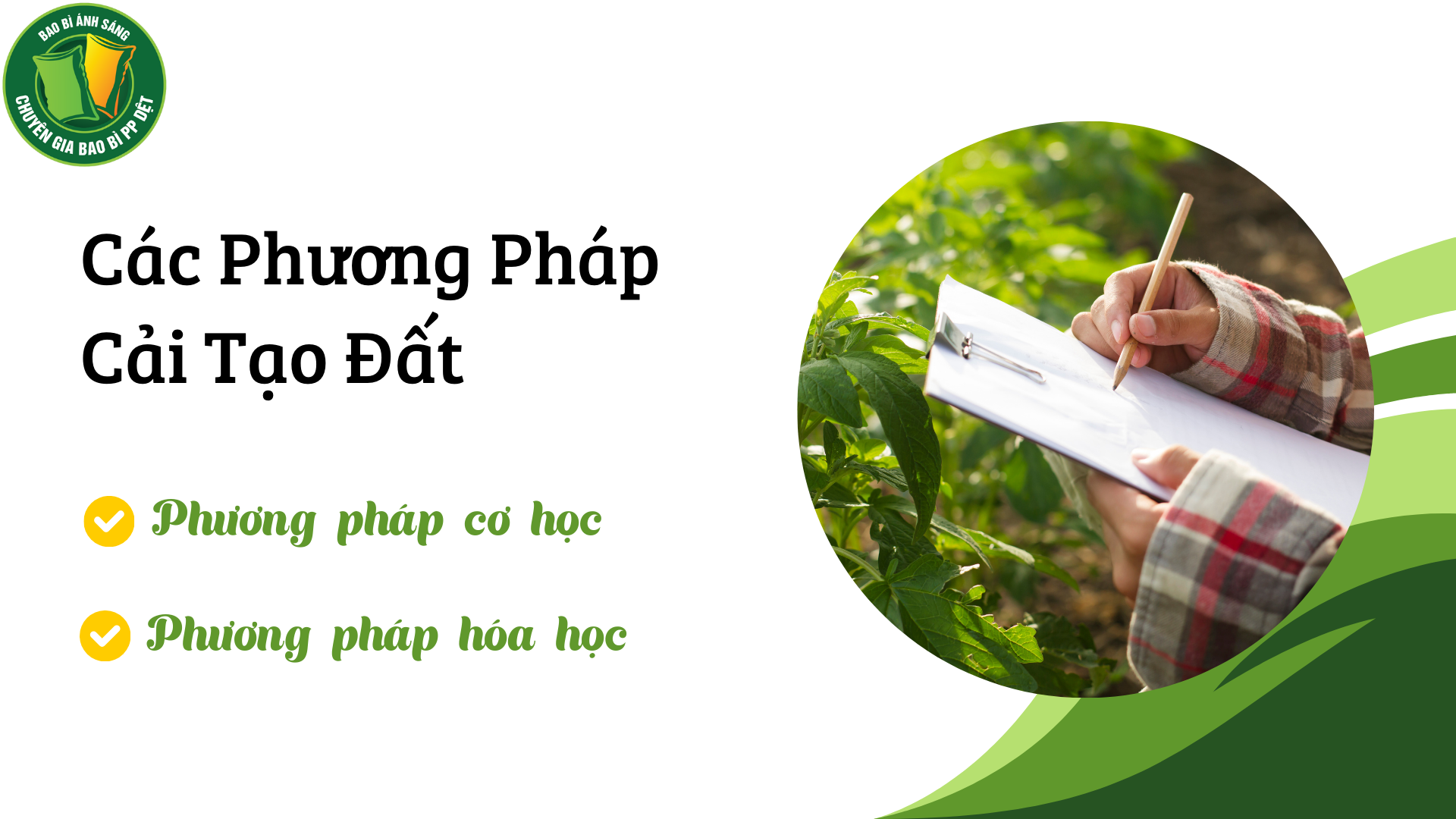 ppbb Bao Bì Ánh Sáng - Chuyên Gia Bao Bì PP Dệt