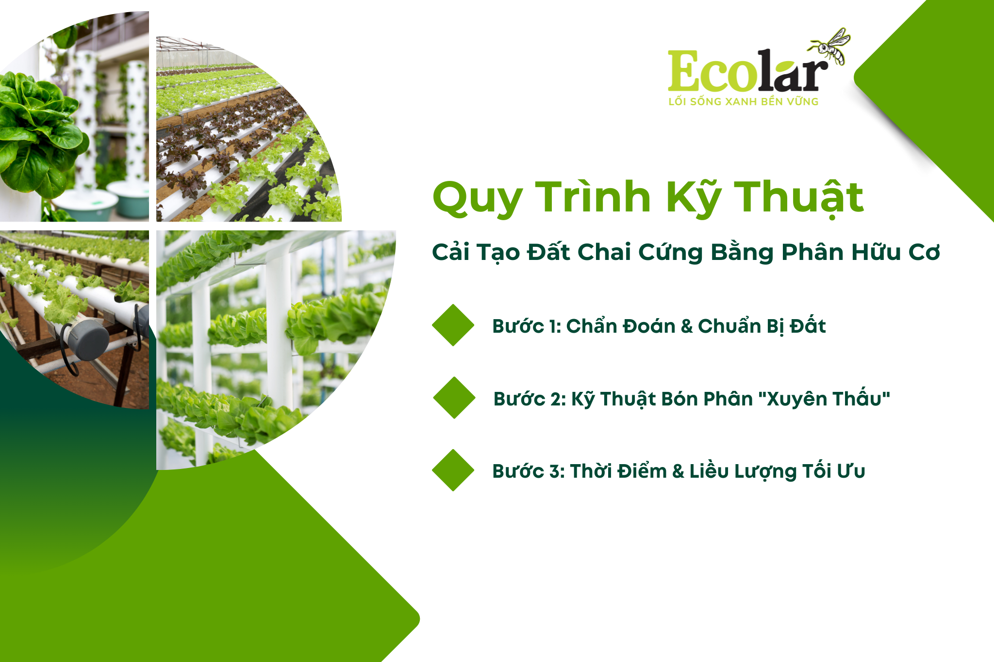 quy trinh ky thuat Bao Bì Ánh Sáng - Chuyên Gia Bao Bì PP Dệt