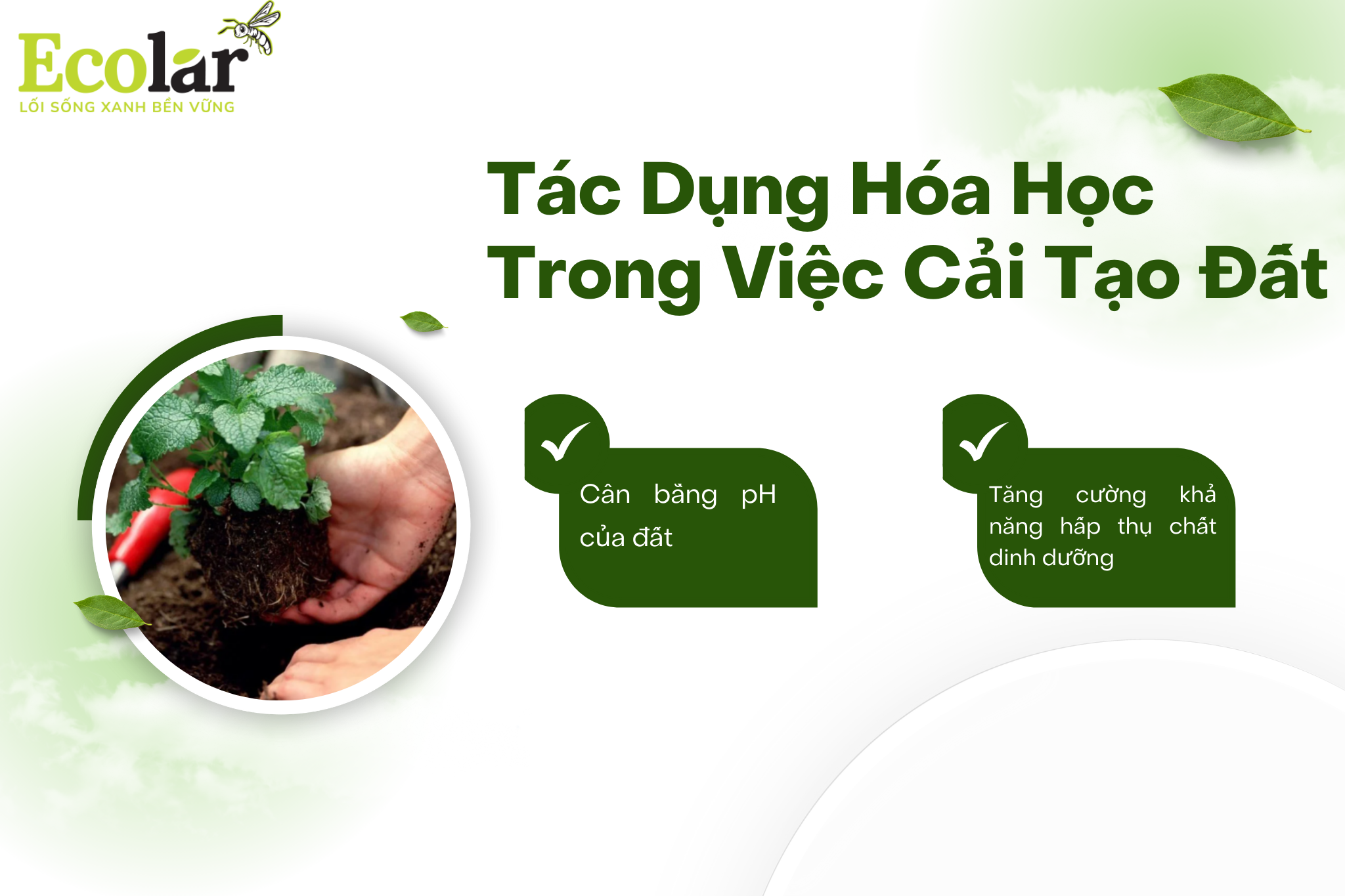 tac dung hoa hoc trong cai tao dat Bao Bì Ánh Sáng - Chuyên Gia Bao Bì PP Dệt