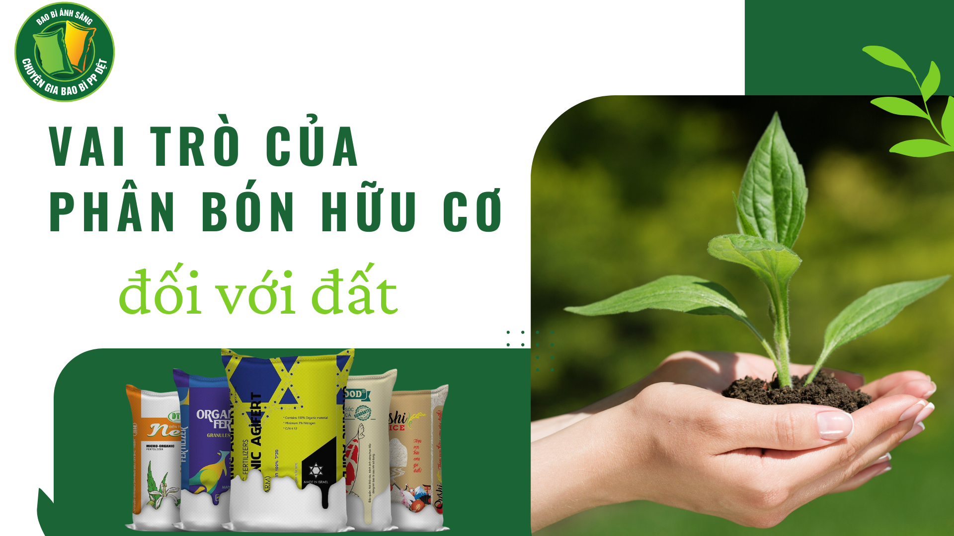 thum 1 Bao Bì Ánh Sáng - Chuyên Gia Bao Bì PP Dệt