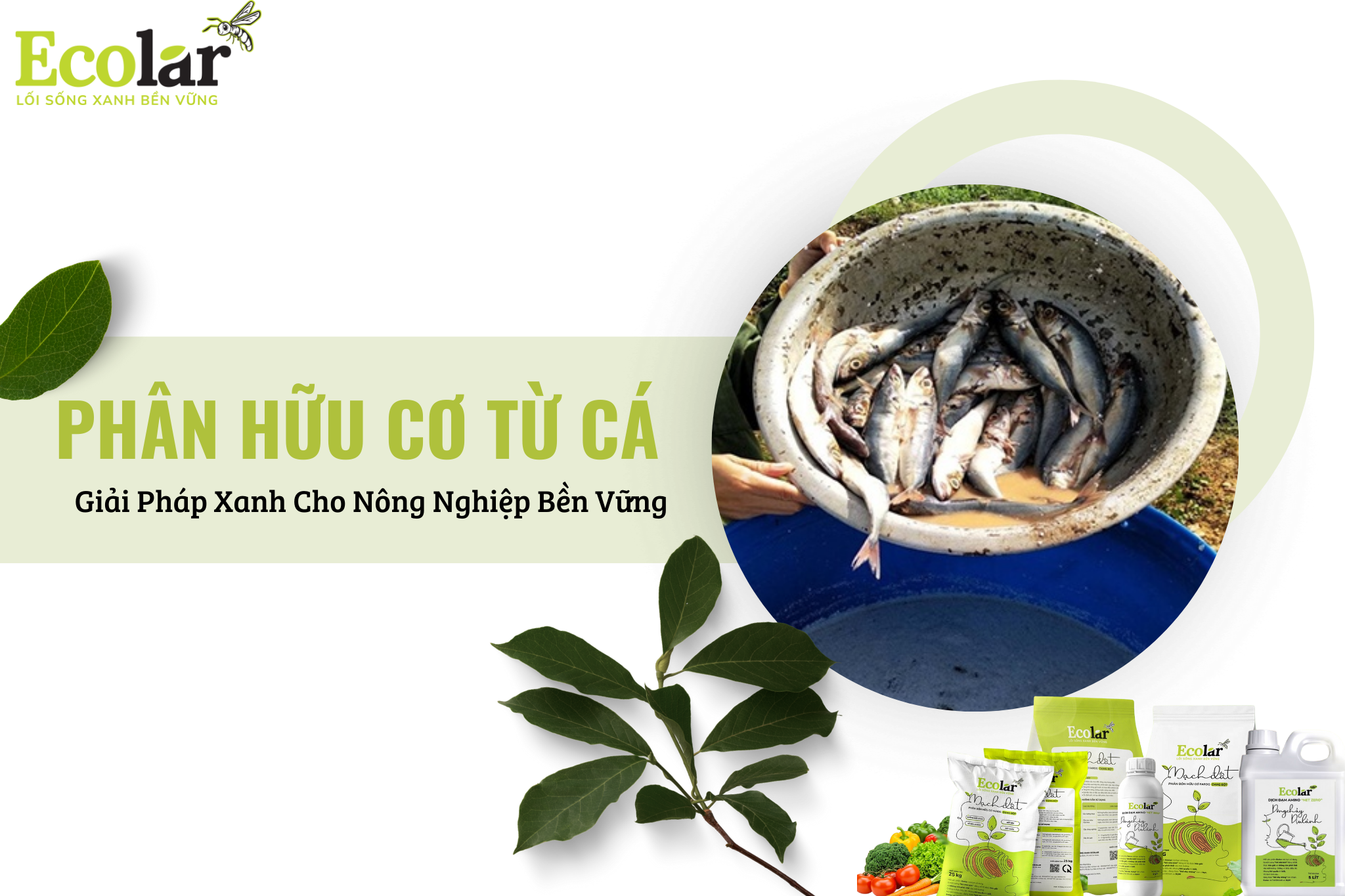 thum nail pbhc Bao Bì Ánh Sáng - Chuyên Gia Bao Bì PP Dệt