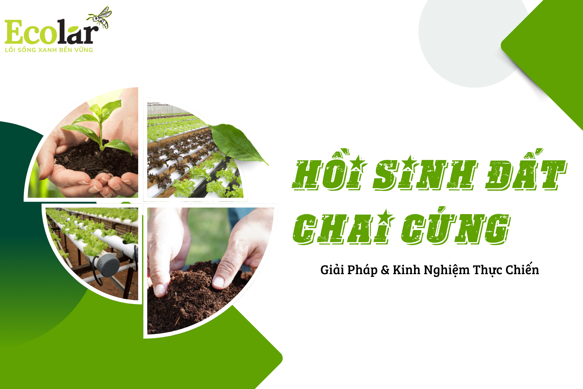 thum Bao Bì Ánh Sáng - Chuyên Gia Bao Bì PP Dệt