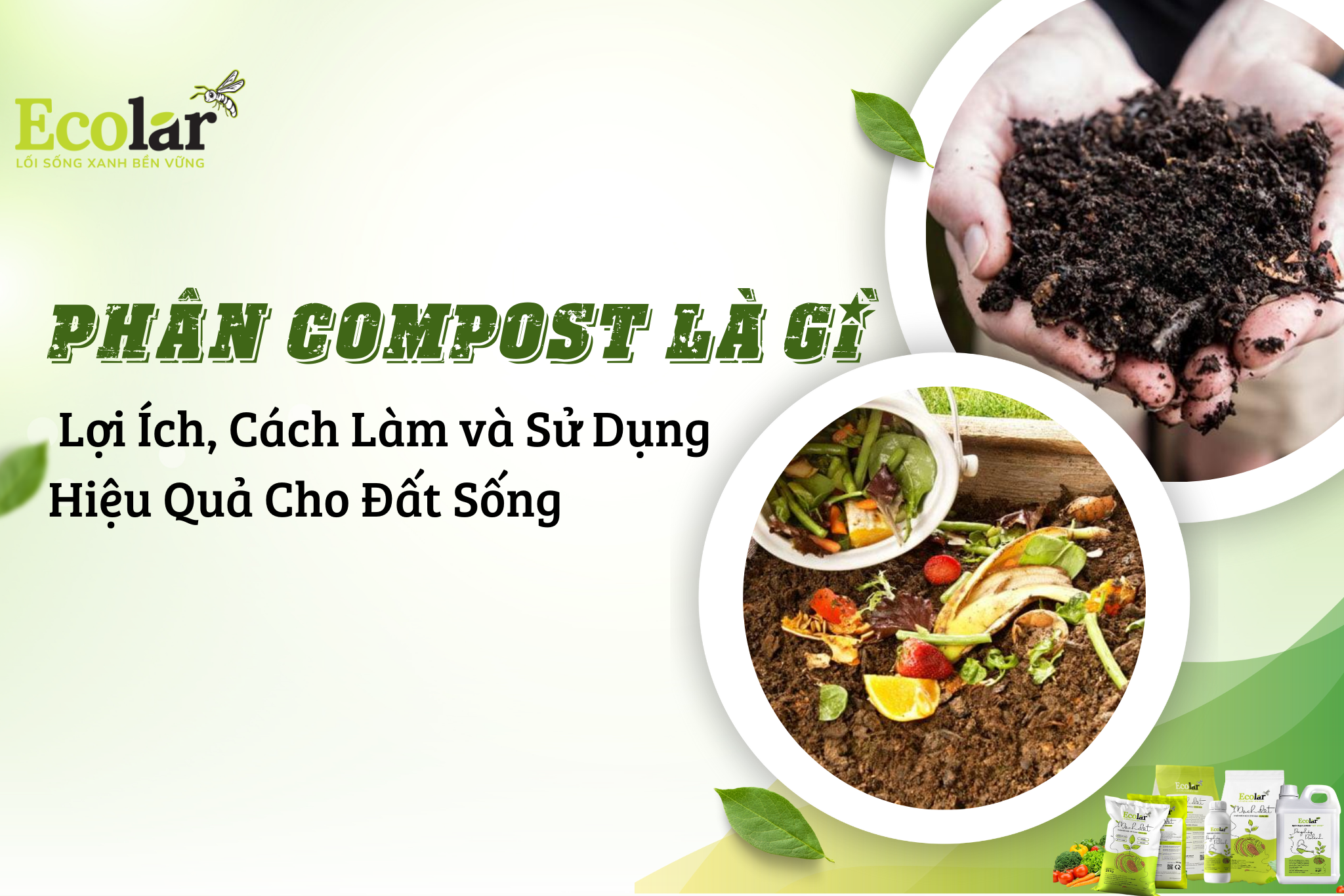 thum1 ecolar Bao Bì Ánh Sáng - Chuyên Gia Bao Bì PP Dệt
