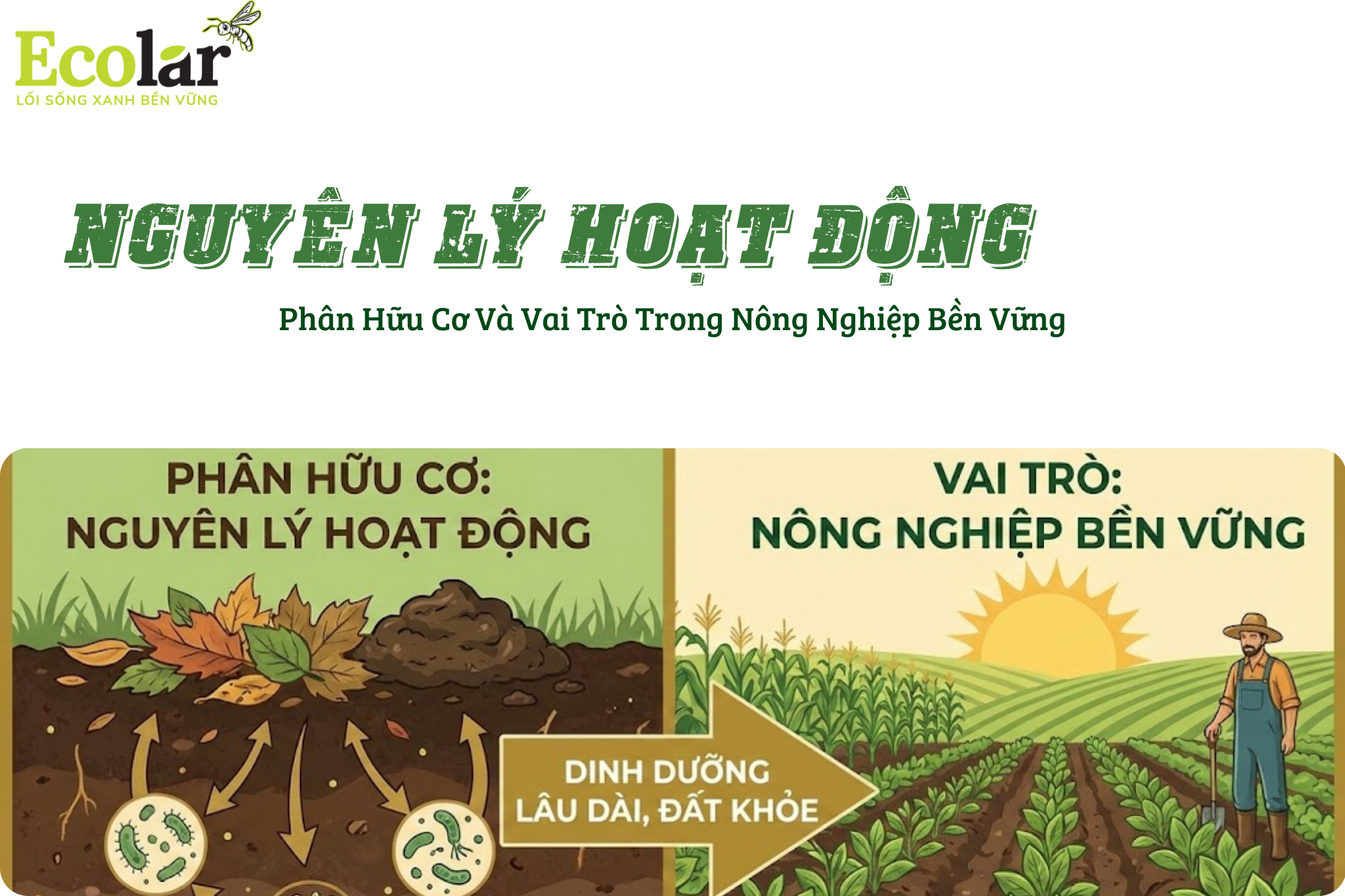 thum1111 Bao Bì Ánh Sáng - Chuyên Gia Bao Bì PP Dệt