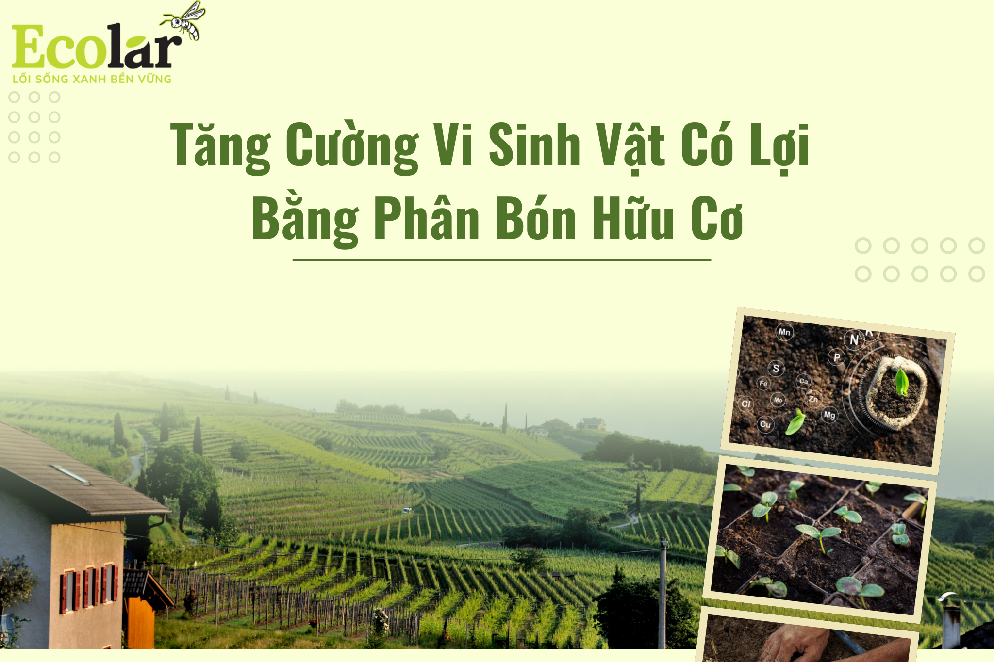 thumb Bao Bì Ánh Sáng - Chuyên Gia Bao Bì PP Dệt