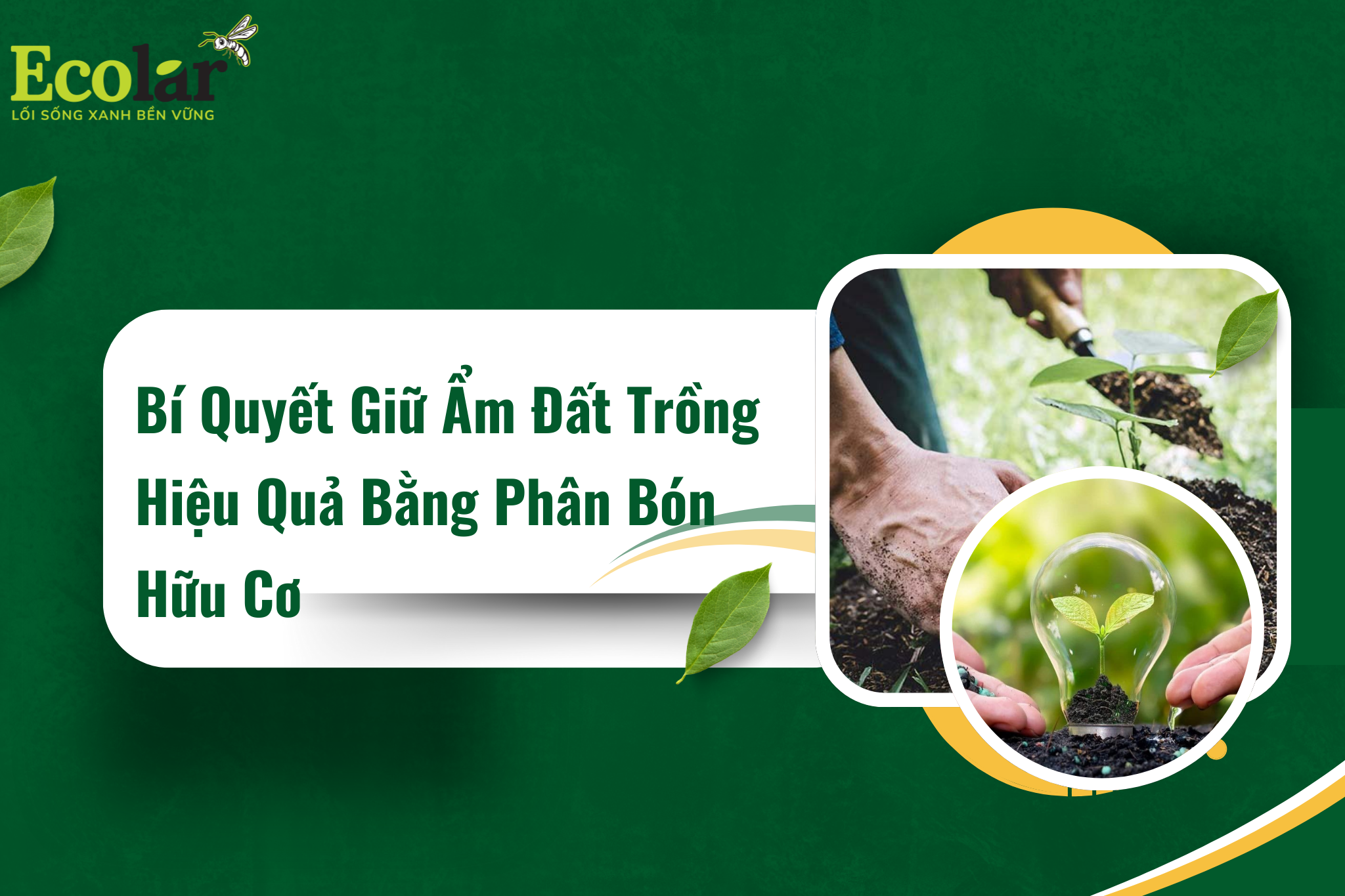 thumbb Bao Bì Ánh Sáng - Chuyên Gia Bao Bì PP Dệt