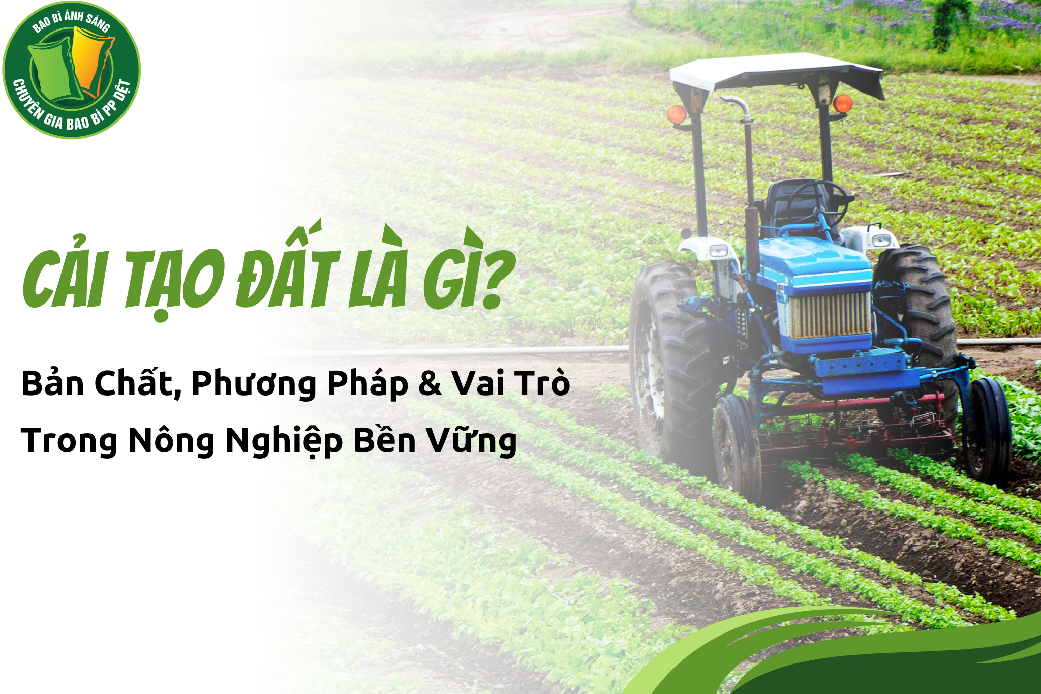 thumm2 1 Bao Bì Ánh Sáng - Chuyên Gia Bao Bì PP Dệt