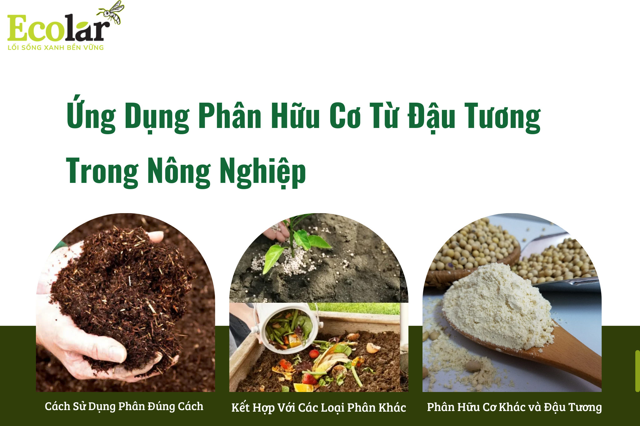 ung dung phan huu co Bao Bì Ánh Sáng - Chuyên Gia Bao Bì PP Dệt