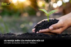 Ưu Nhược Điểm Của Phân Bón Hữu Cơ