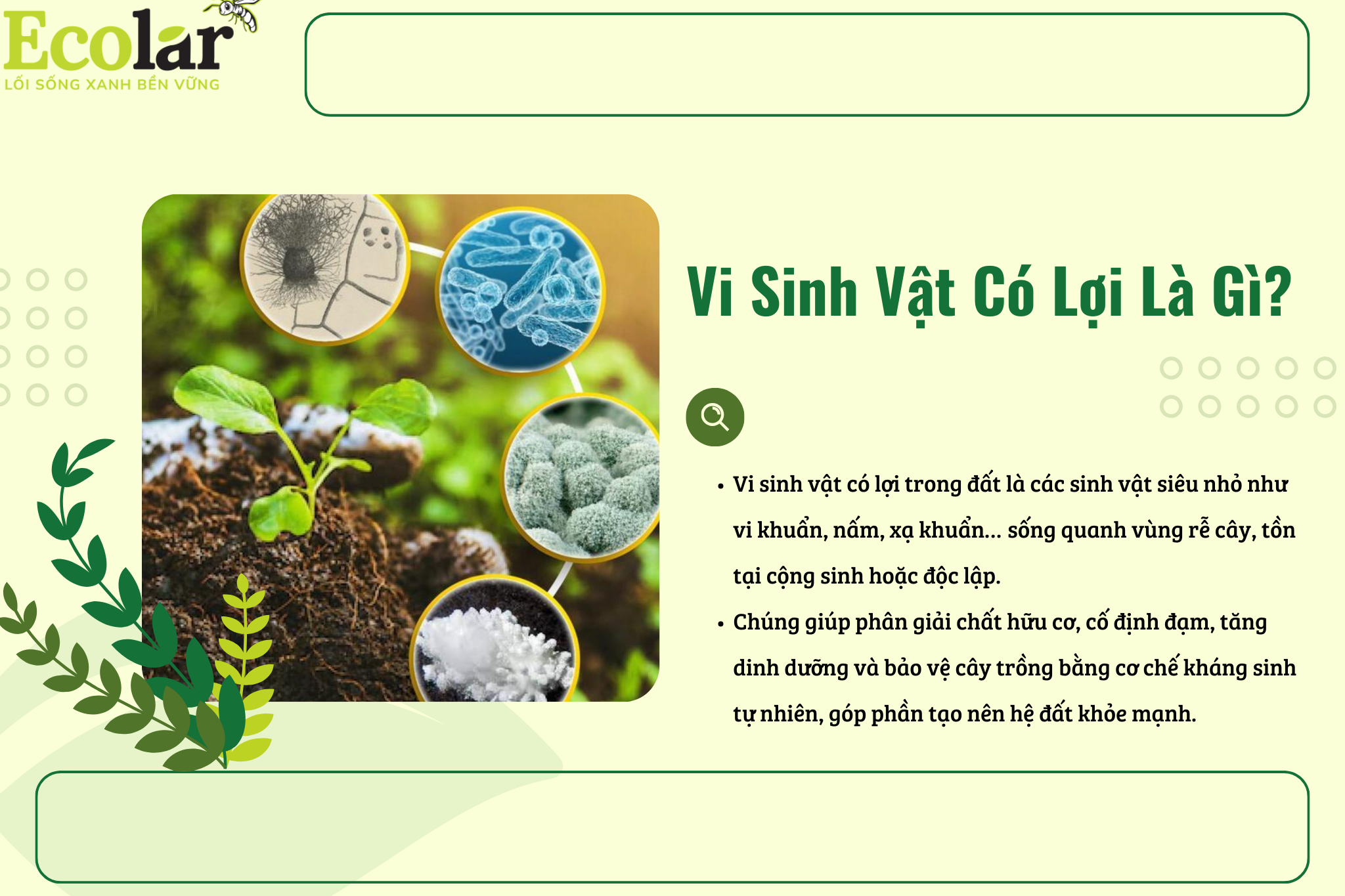 vi sinh vat co loi la gi Bao Bì Ánh Sáng - Chuyên Gia Bao Bì PP Dệt