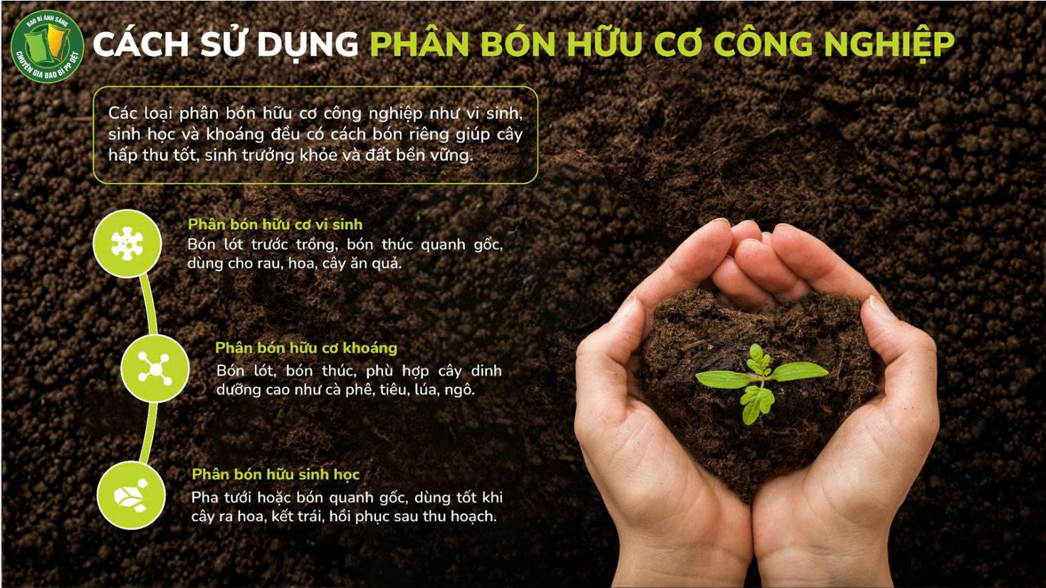 z7353637647090 c4221854a400f4513ec5c3bb8c31cdd7 Bao Bì Ánh Sáng - Chuyên Gia Bao Bì PP Dệt