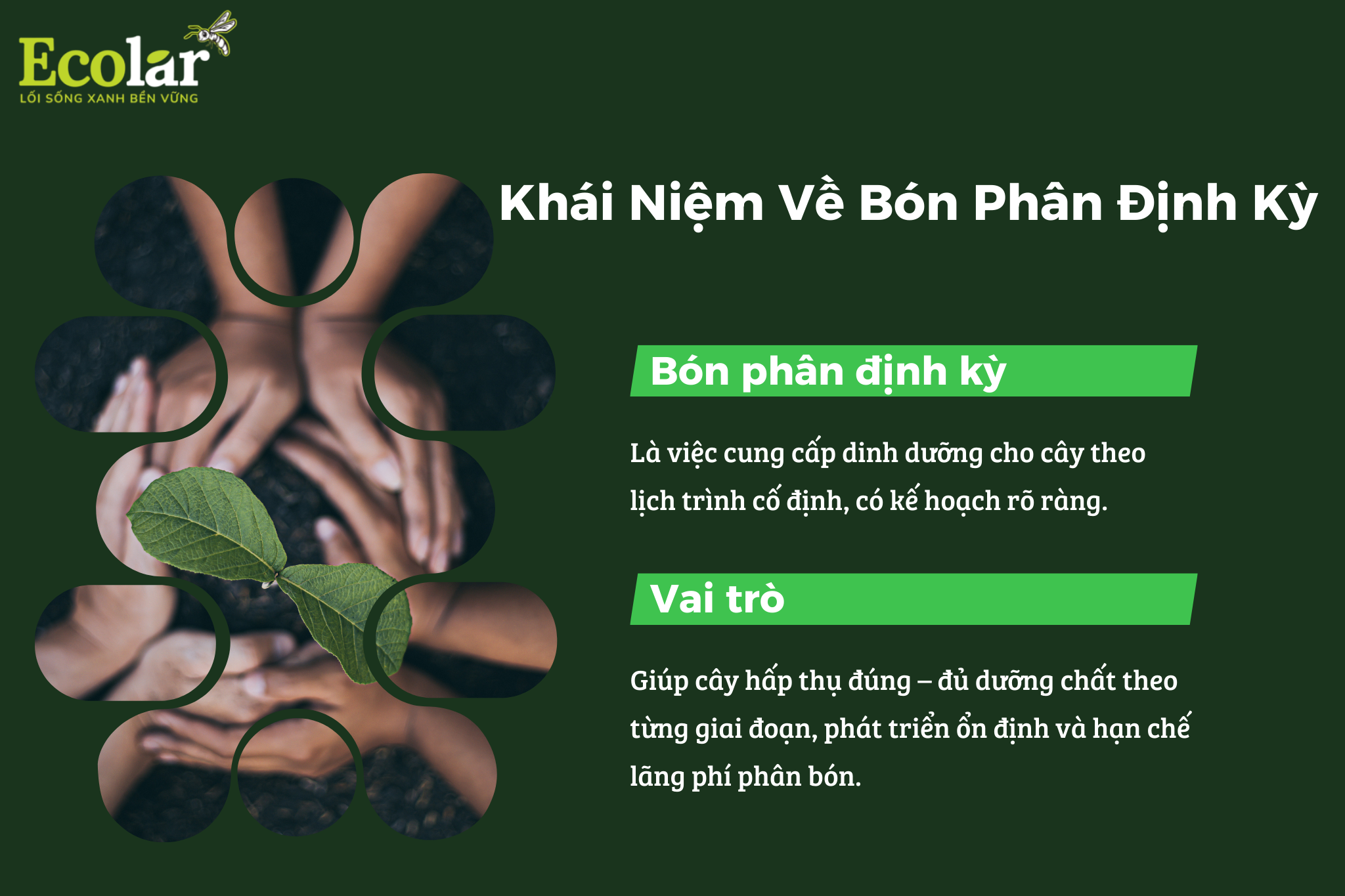 1 1 Bao Bì Ánh Sáng - Chuyên Gia Bao Bì PP Dệt