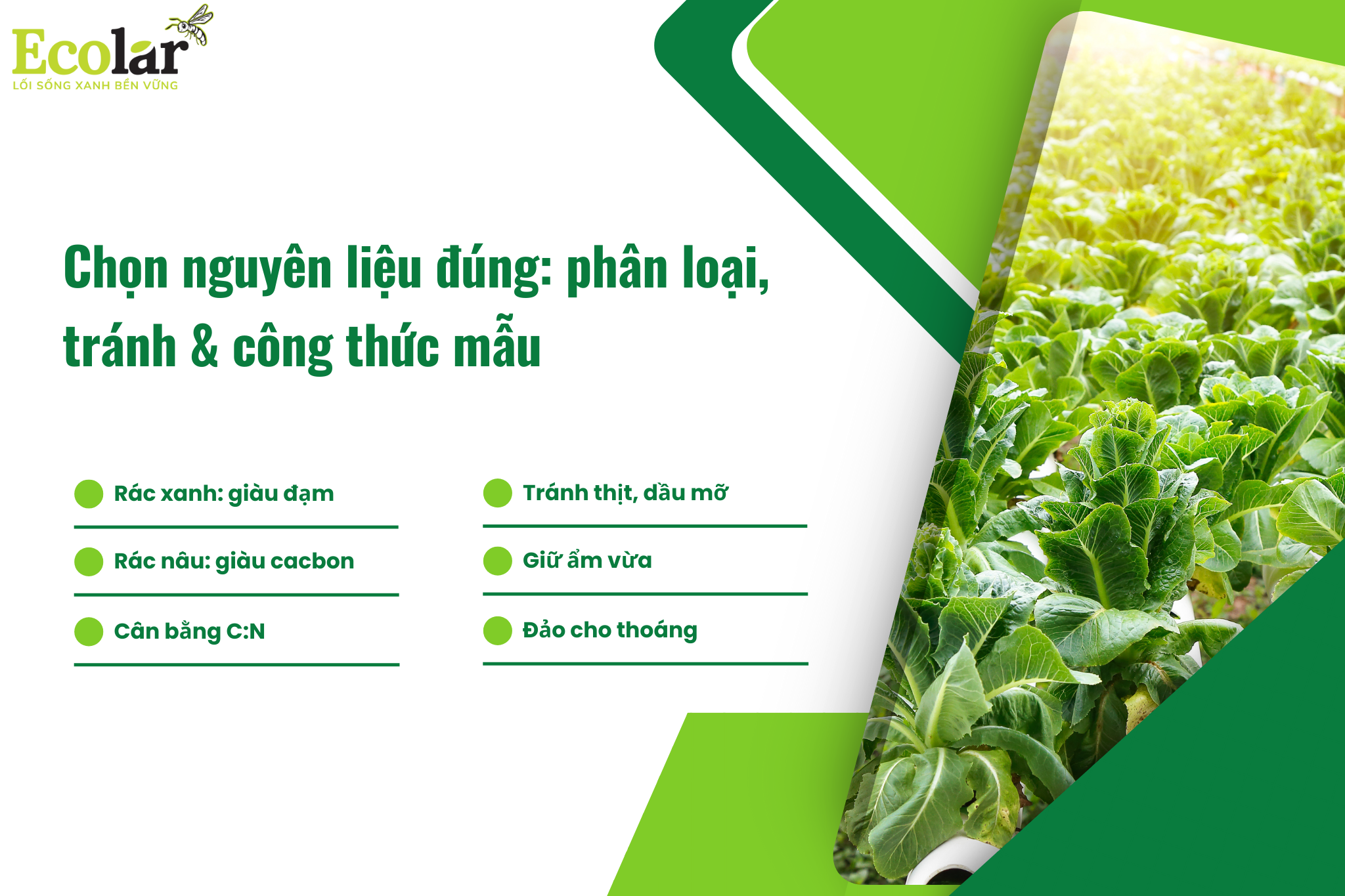 1 2 Bao Bì Ánh Sáng - Chuyên Gia Bao Bì PP Dệt