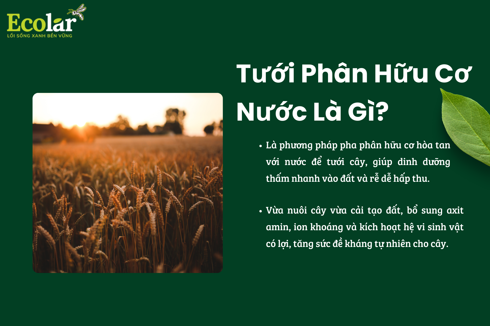 1 Bao Bì Ánh Sáng - Chuyên Gia Bao Bì PP Dệt