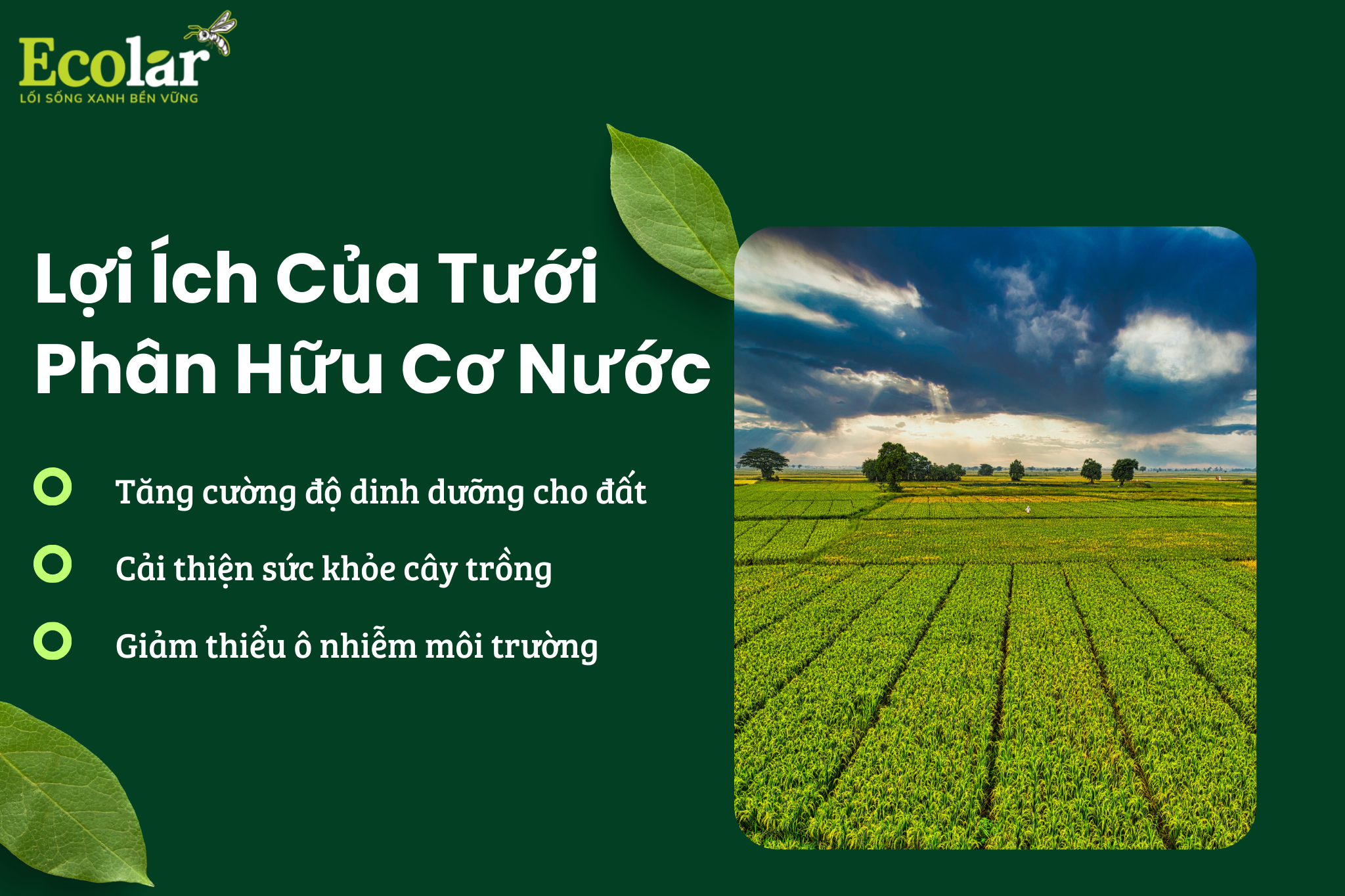 2 Bao Bì Ánh Sáng - Chuyên Gia Bao Bì PP Dệt