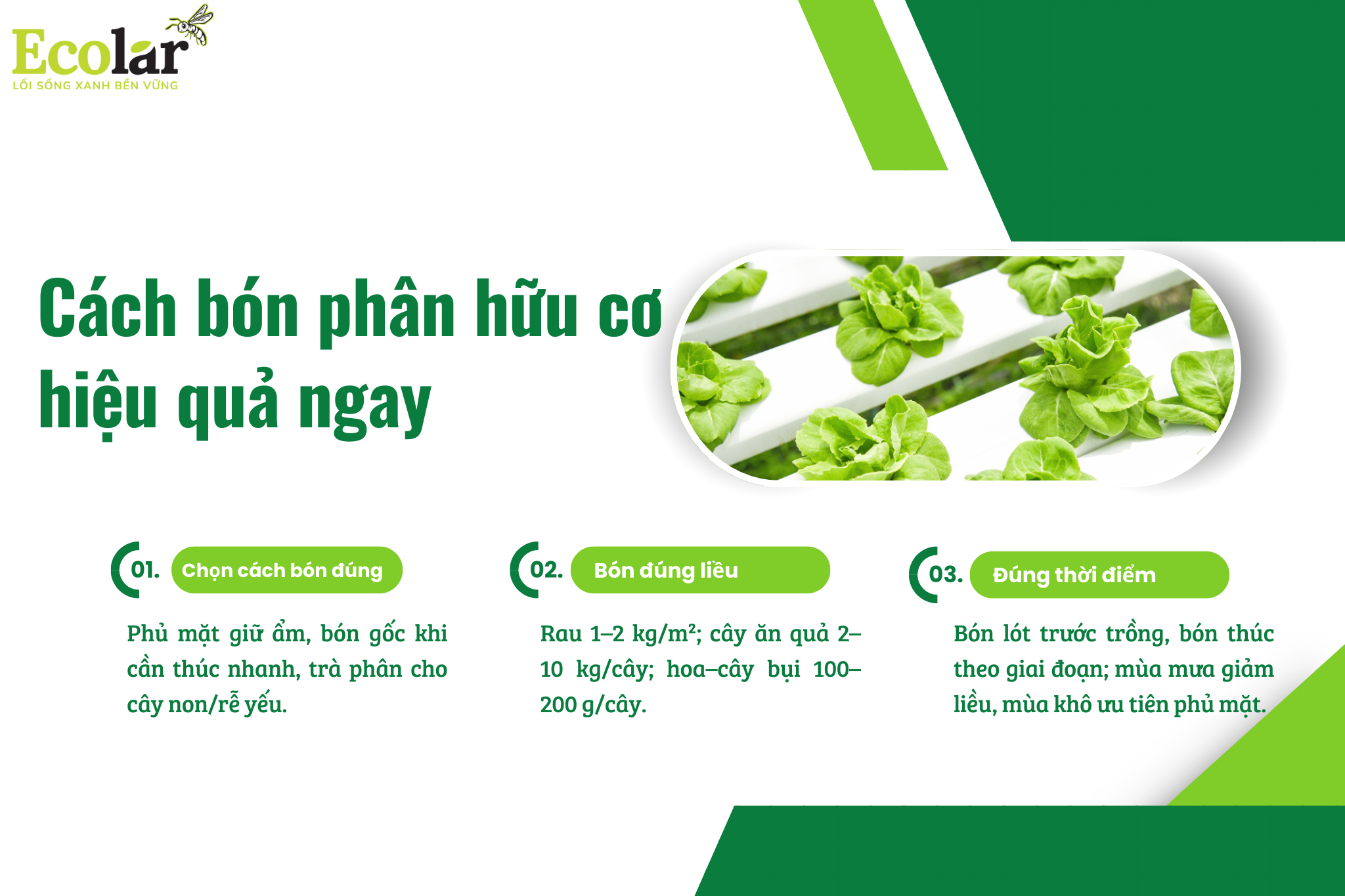 3 1 Bao Bì Ánh Sáng - Chuyên Gia Bao Bì PP Dệt