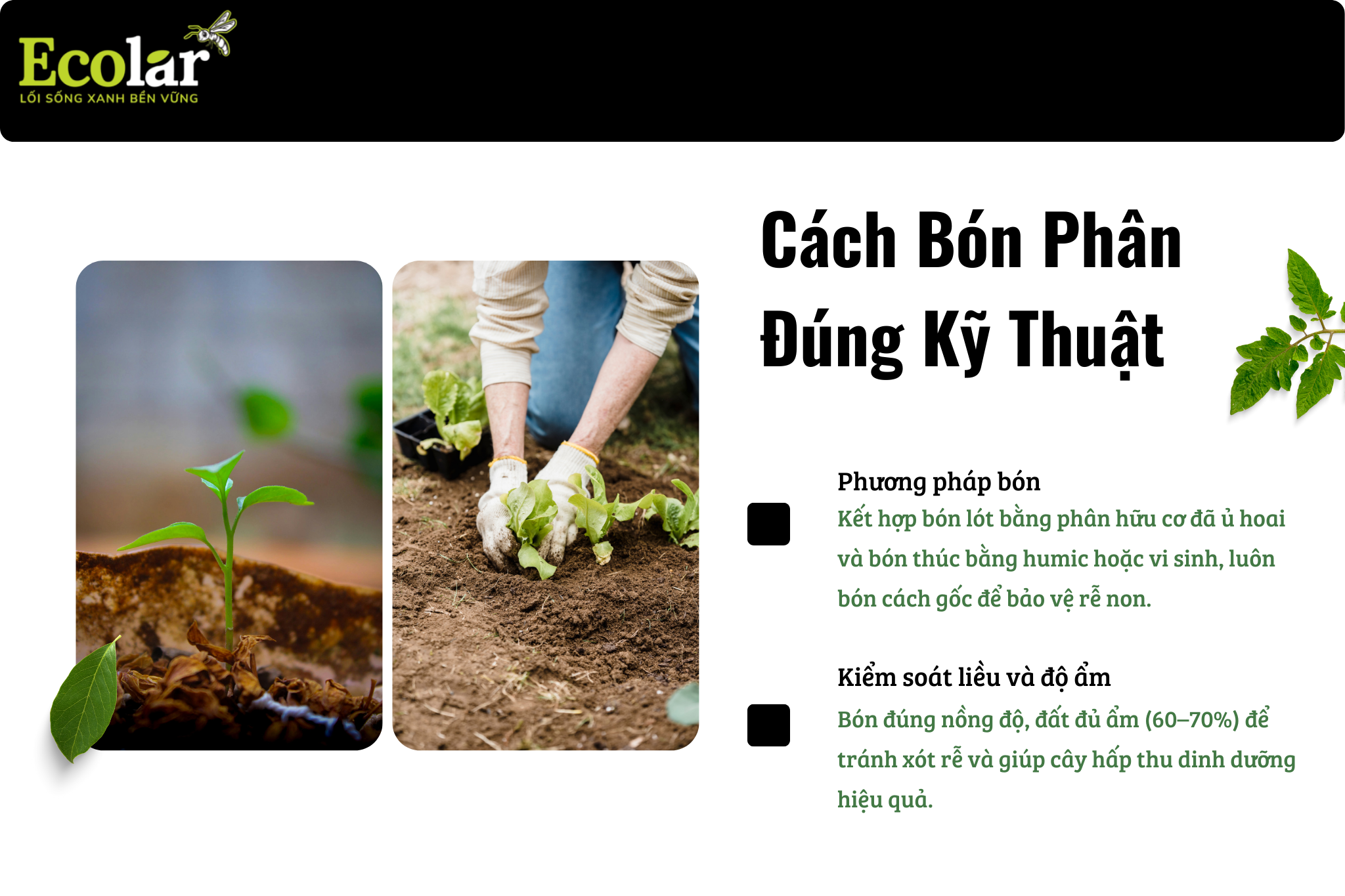 3 cach bon phan dung ky thuat Bao Bì Ánh Sáng - Chuyên Gia Bao Bì PP Dệt