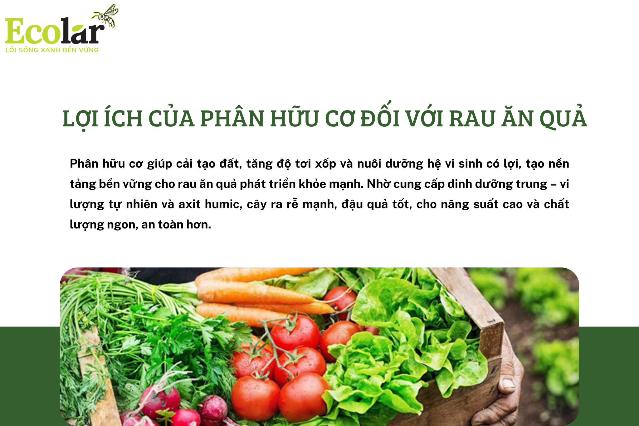3 Bao Bì Ánh Sáng - Chuyên Gia Bao Bì PP Dệt