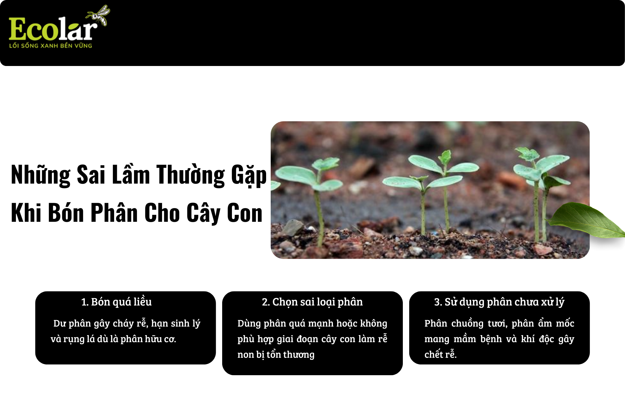 5 nhung sai lam Bao Bì Ánh Sáng - Chuyên Gia Bao Bì PP Dệt